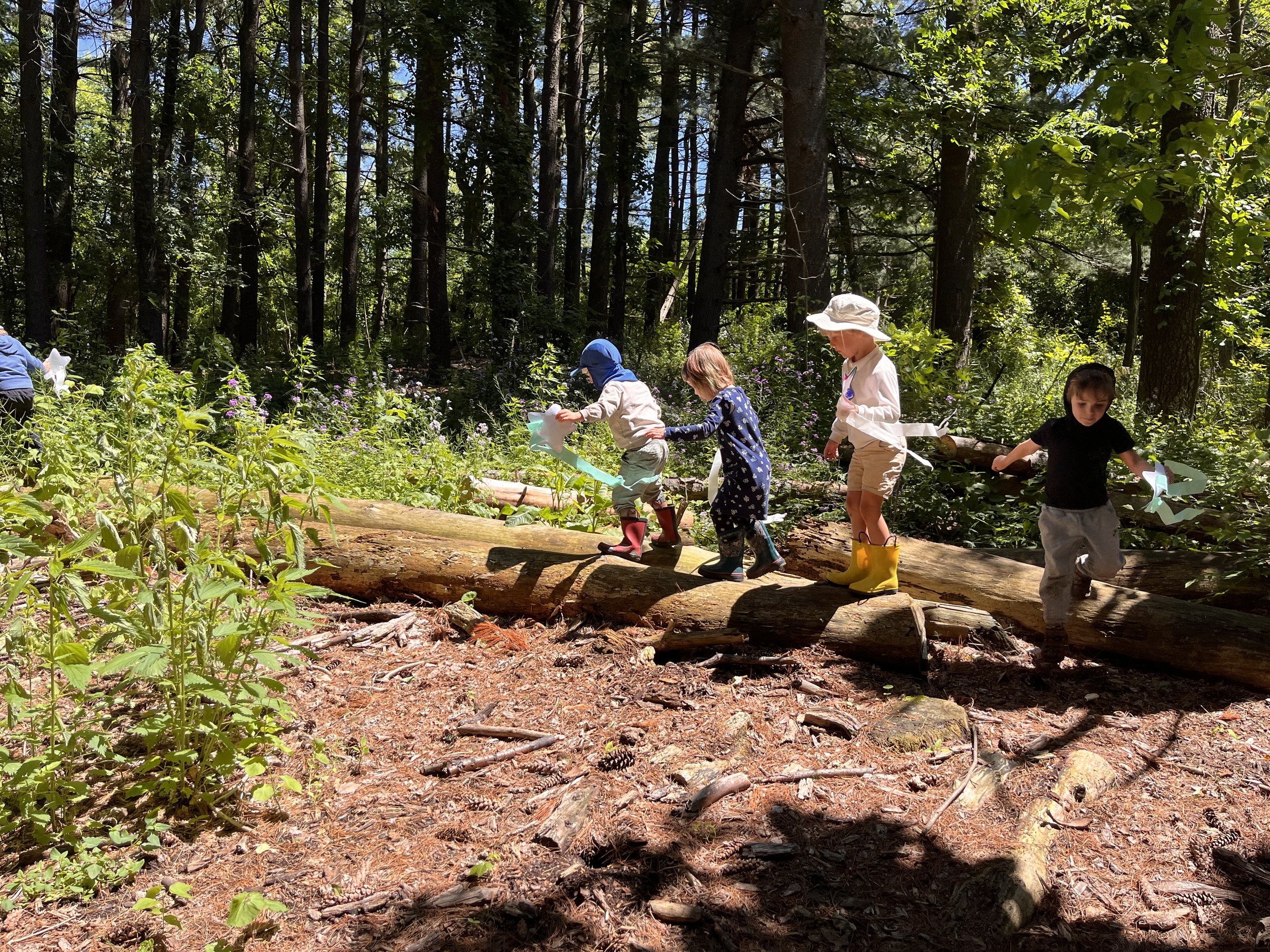 TreeSchool 2026-27 — JohnsonNatureCenter