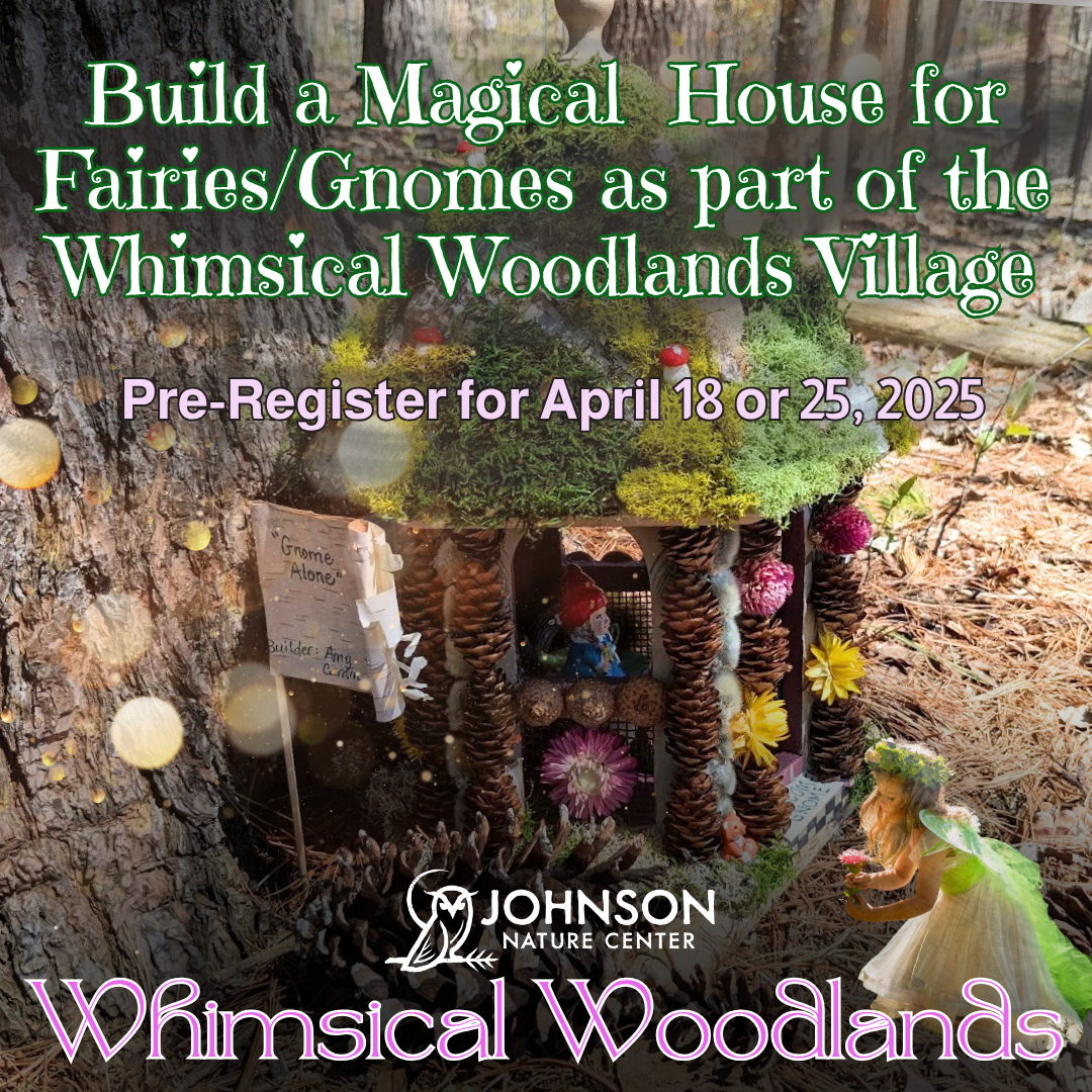 Copy of FB posts Whimsical Woodlands (3).png