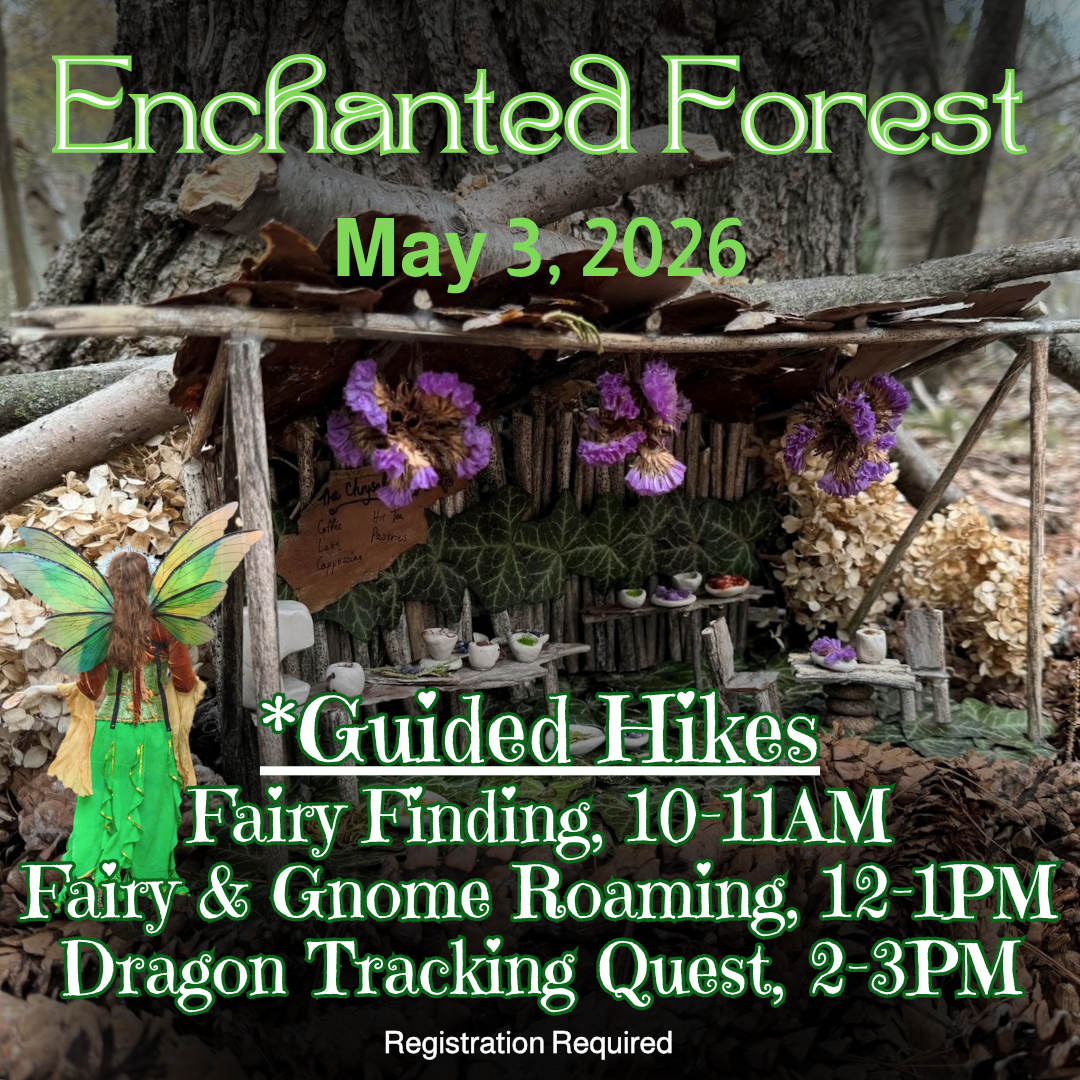 2026 Guided Hike graphic with QR (1).png