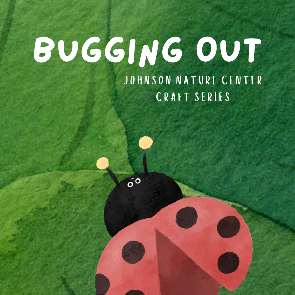 Bugging Out — JohnsonNatureCenter