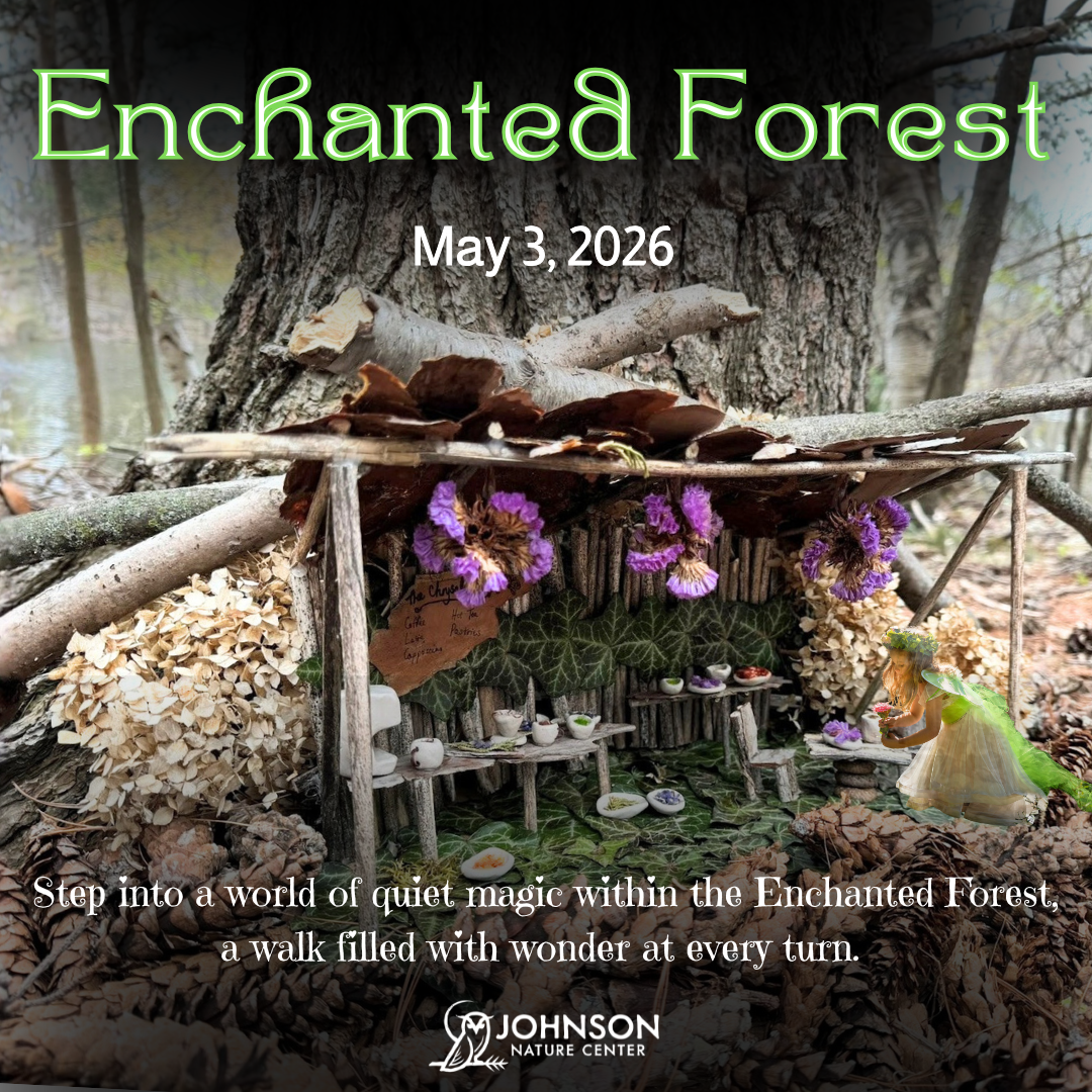 Enchanted Forest Square (1).png