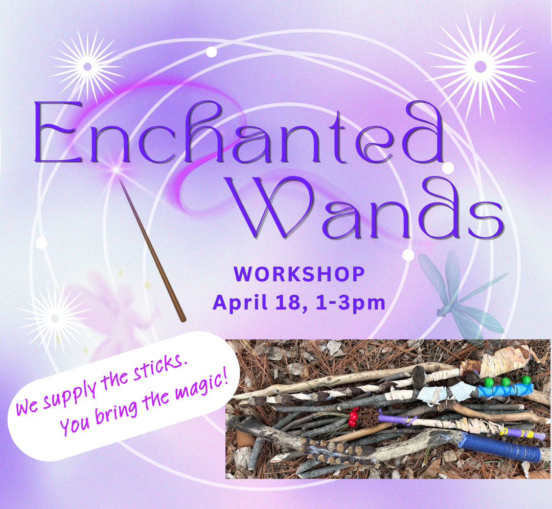 enchanted wands crop.png