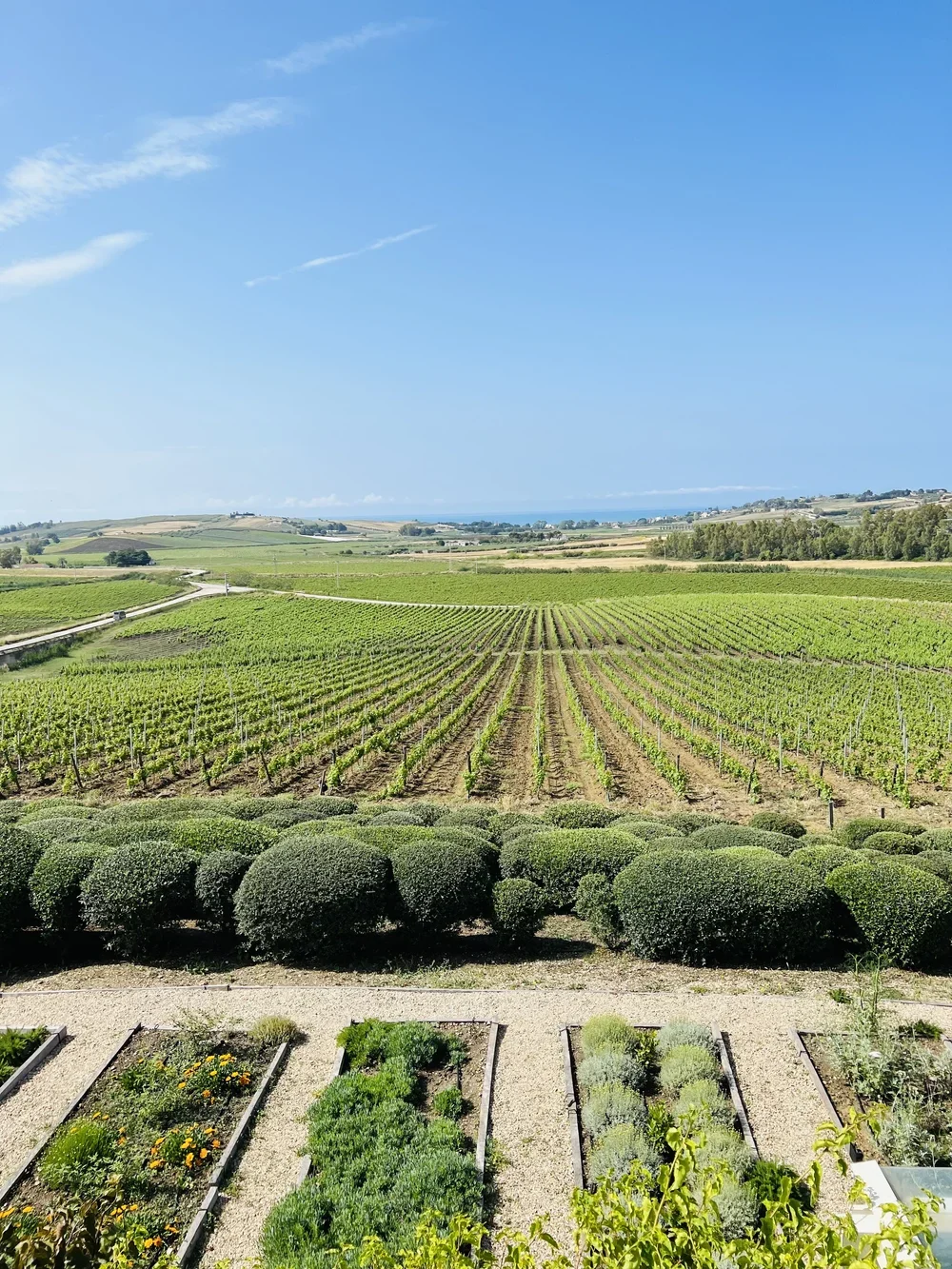 Visit a winery in Sicily