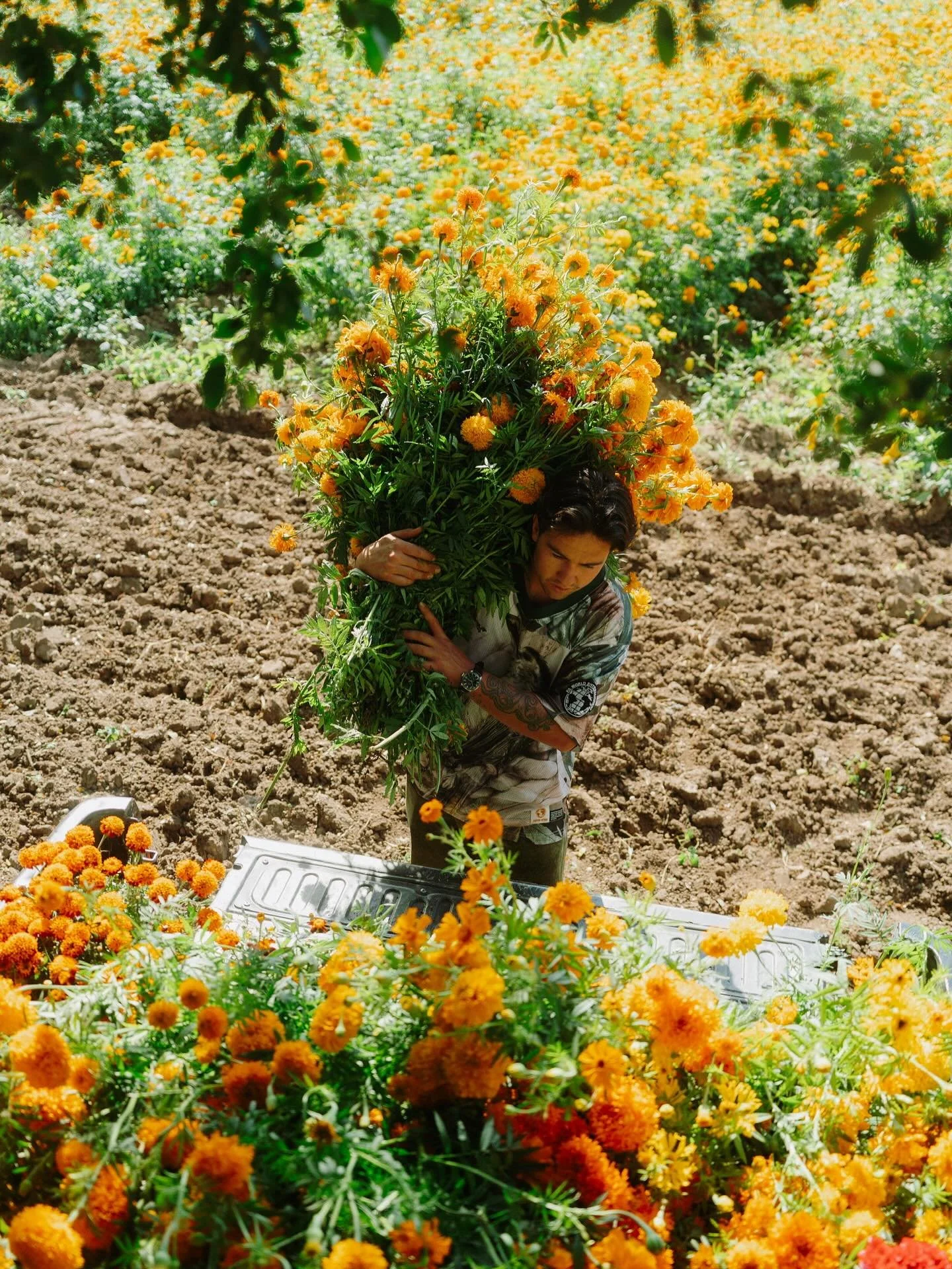 D&iacute;a de Muertos comes in two colors: bright orange and deep red

Everyone around Oaxaca plants the heirloom marigolds or cempas&uacute;chil &mdash; the big, bright and aromatic traditional kind. Growers usually plant them with smaller marigolds
