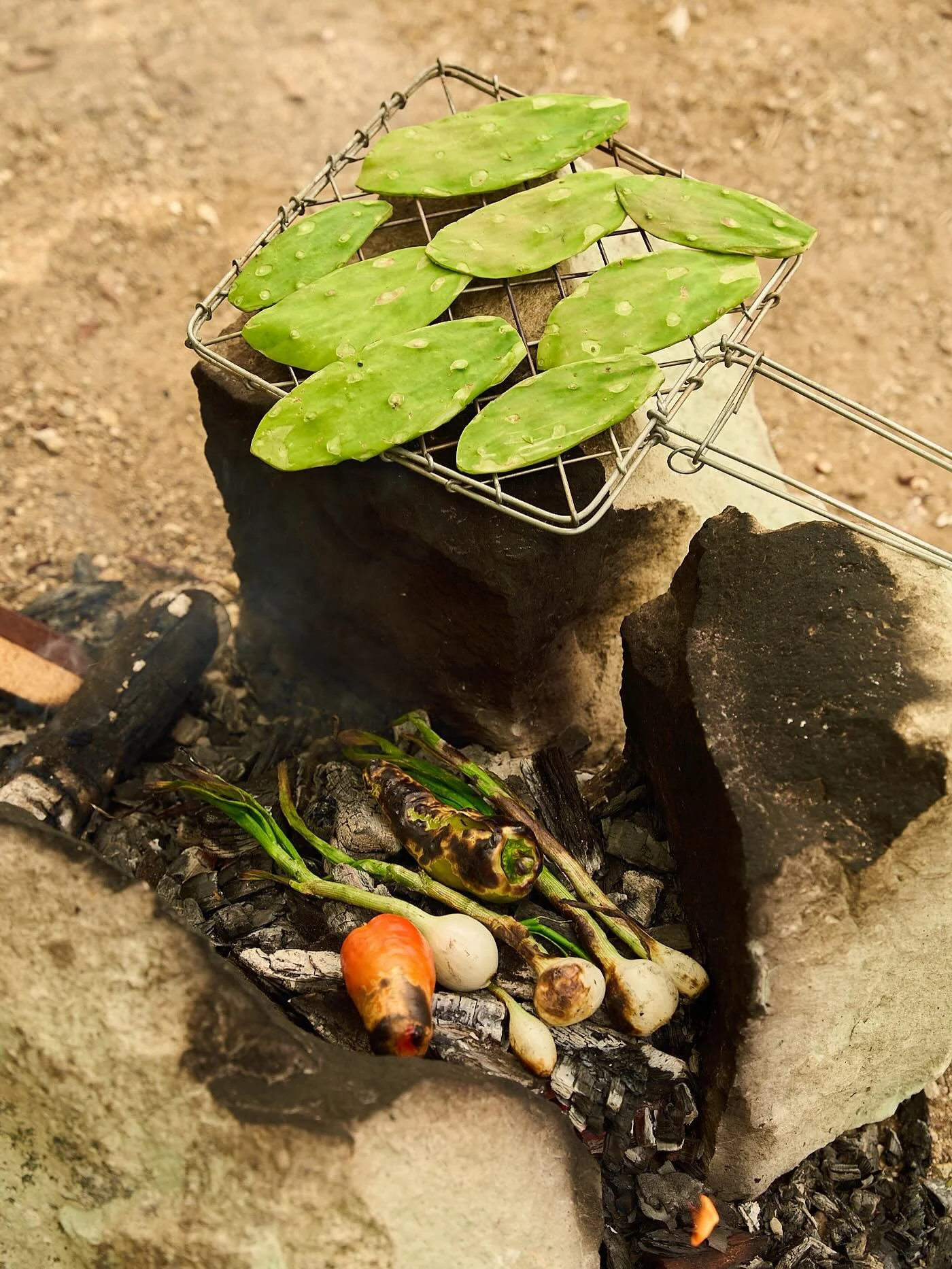 Tasajo a las brasas

The simplicity of a grilled tasajo with nopales on a freshly made tortilla.

Tasajo is usually found all over Oaxaca, it is thinly sliced flank steak that is salted, hung and dried. We usually cook it over hot coals on a BBQ or y