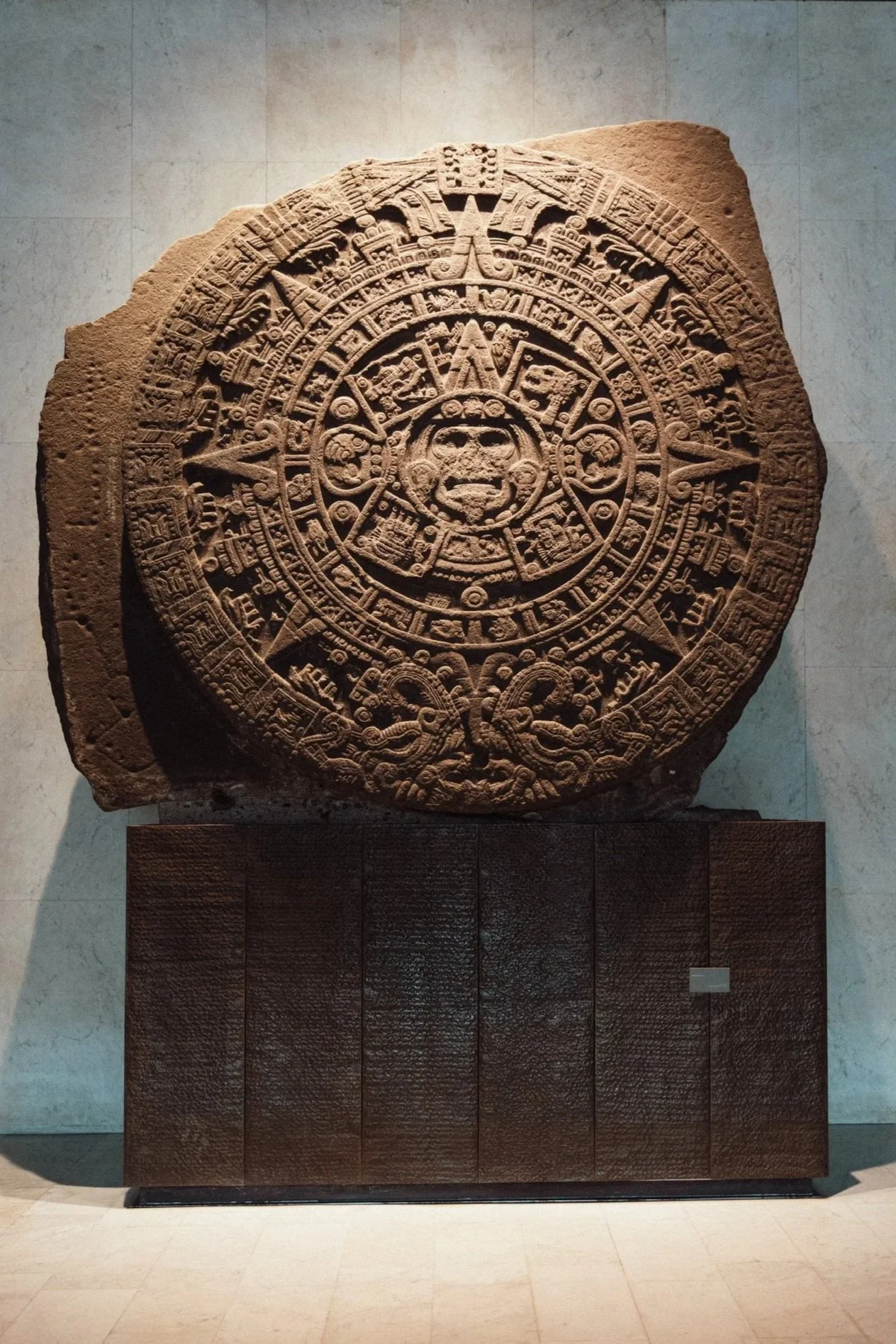 Guided tour of the Anthropology Museum