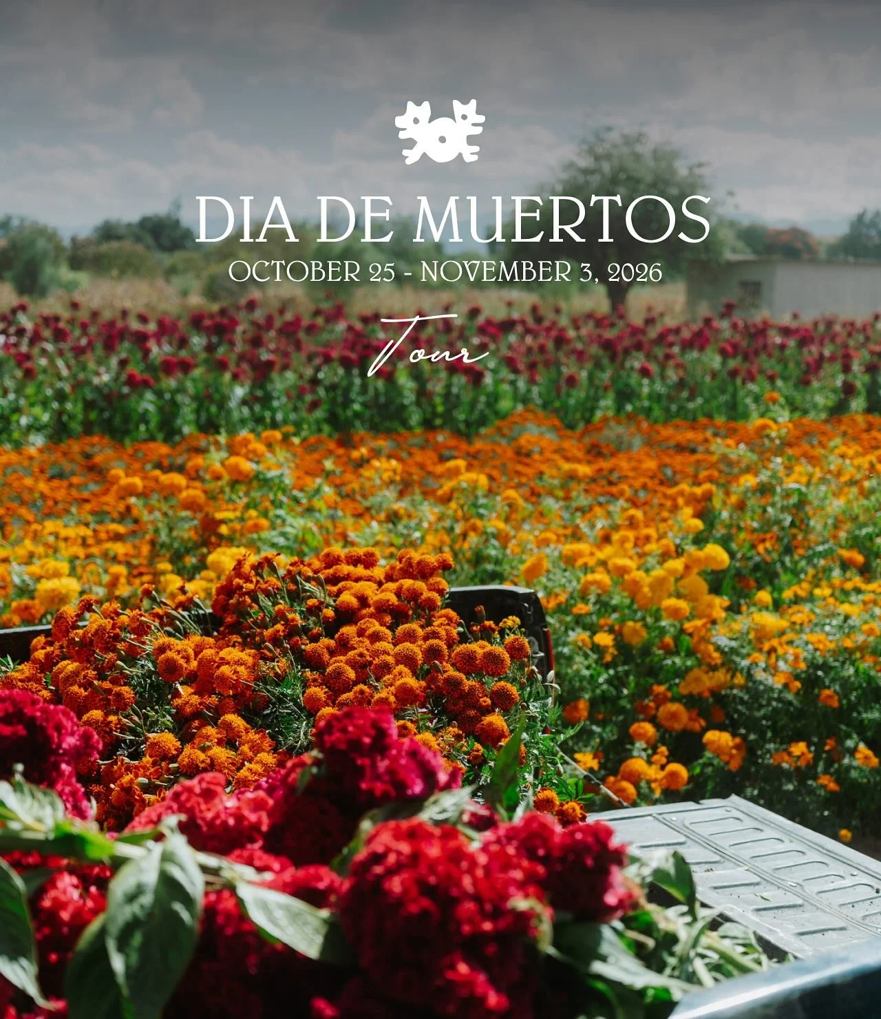 Join us this year as we witness the beauty of Dia de Muertos.

Our 10-day food tour is a deep dive into the heart of Mexico&rsquo;s most beautiful celebration through food and its traditions.