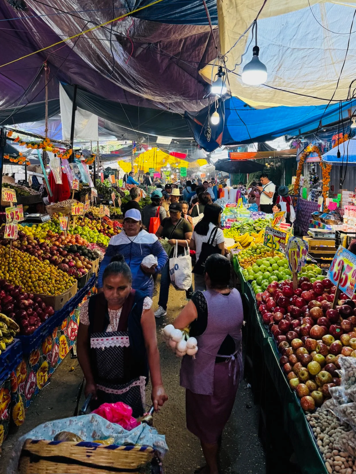 Shop at the seasonal market