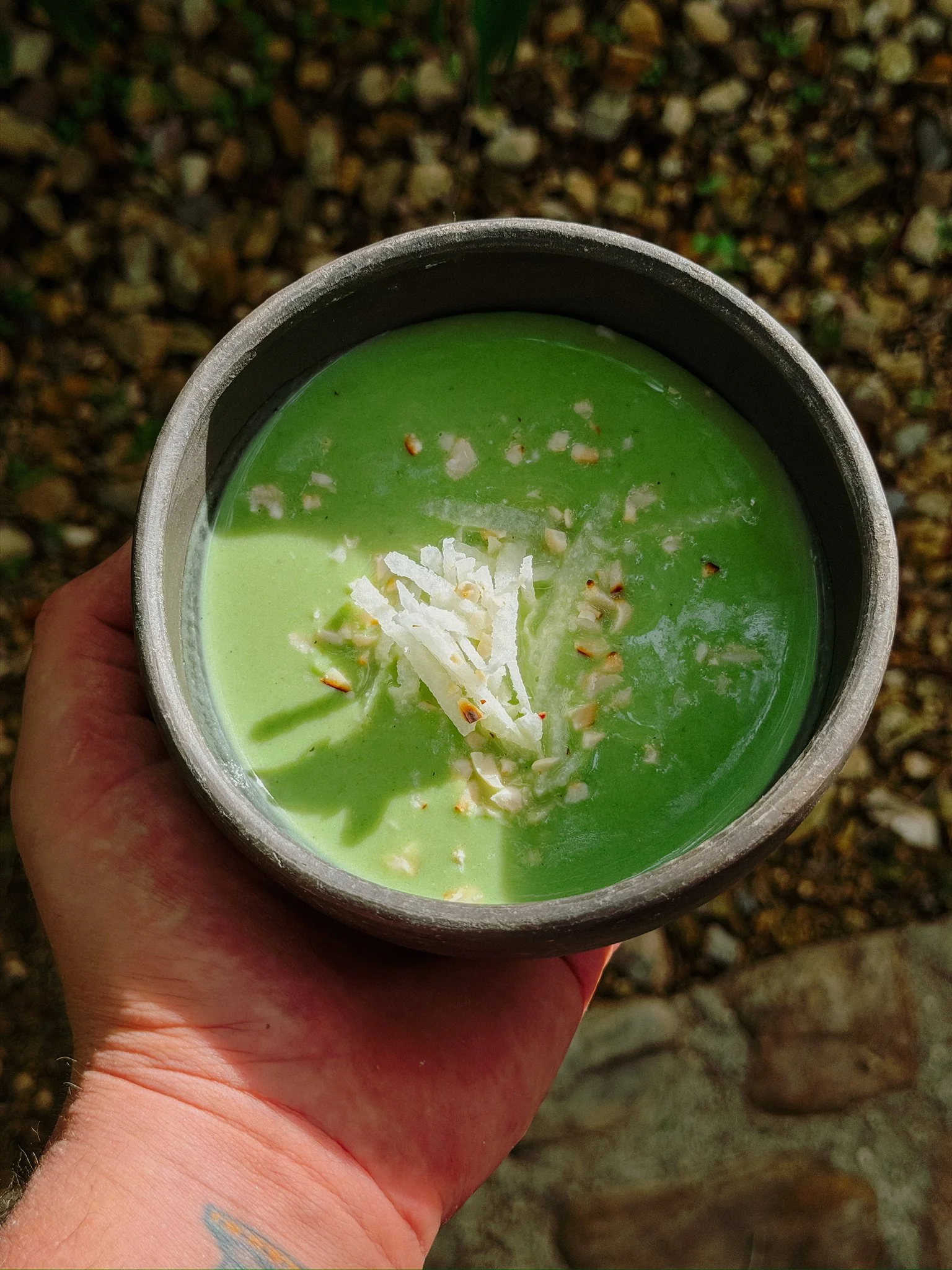 Chilled Chayote Bisque