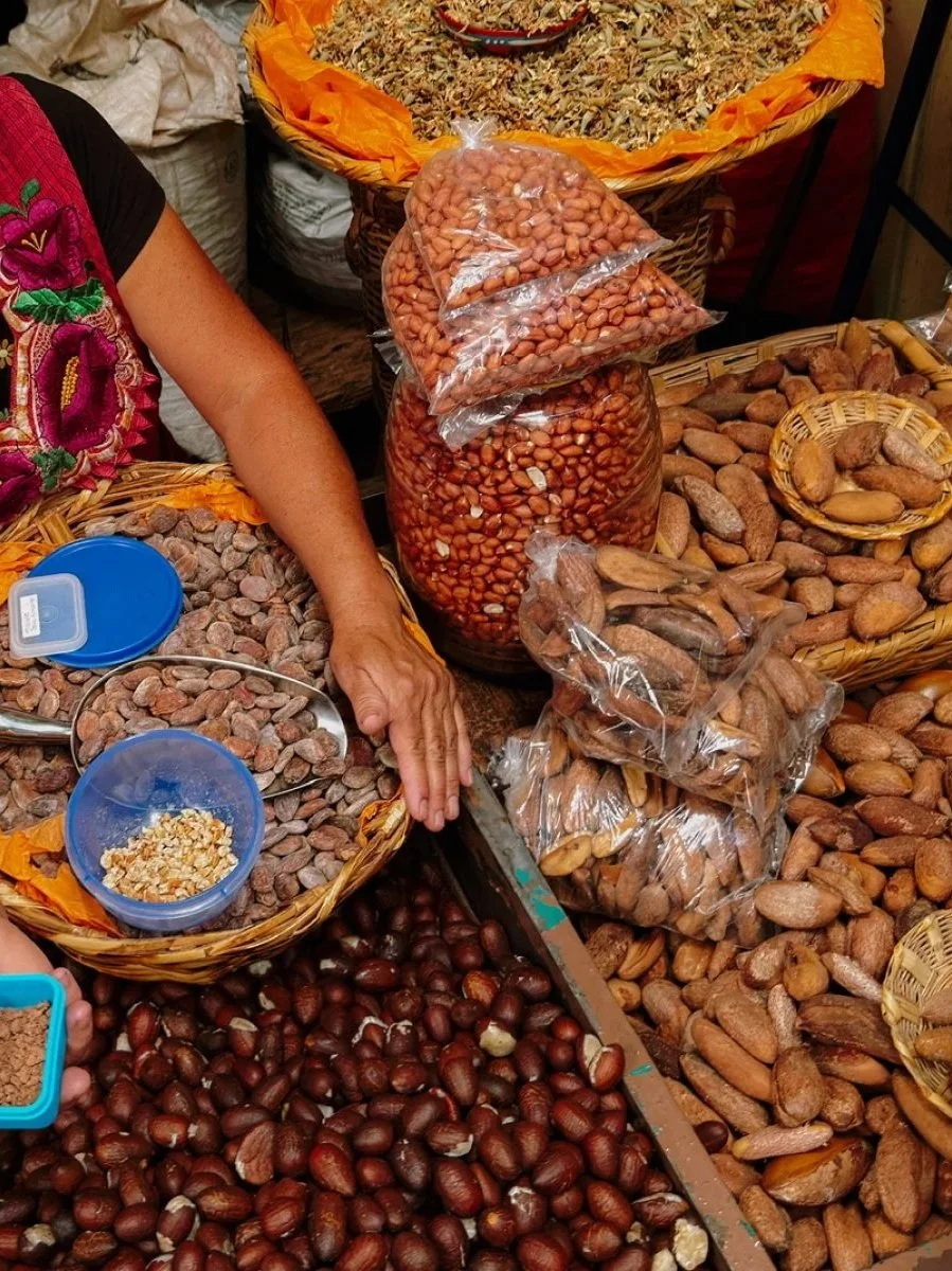 Cacao masterclass 
