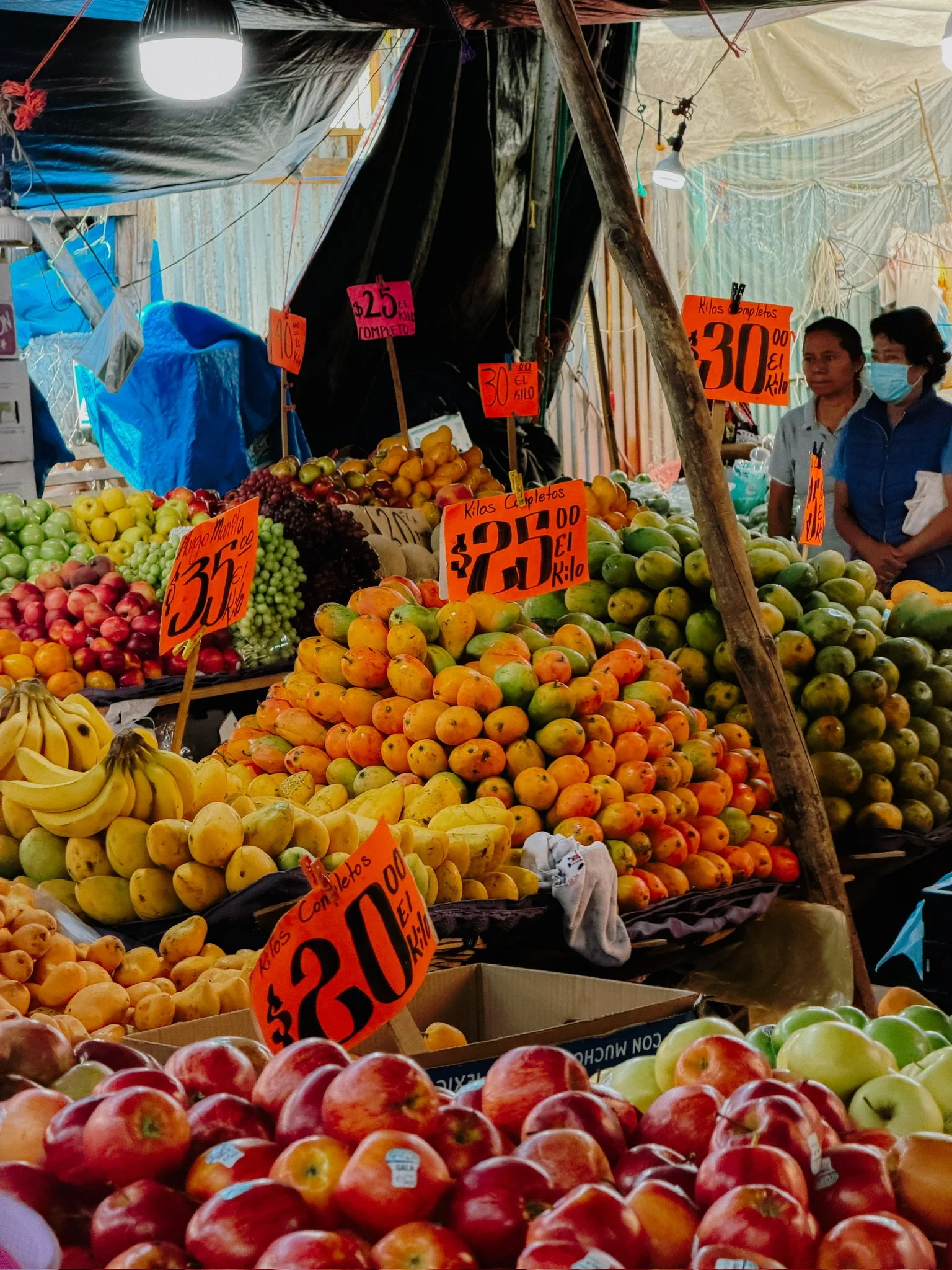 SOMH-Two-Day-Oaxaca-Tour.JPG