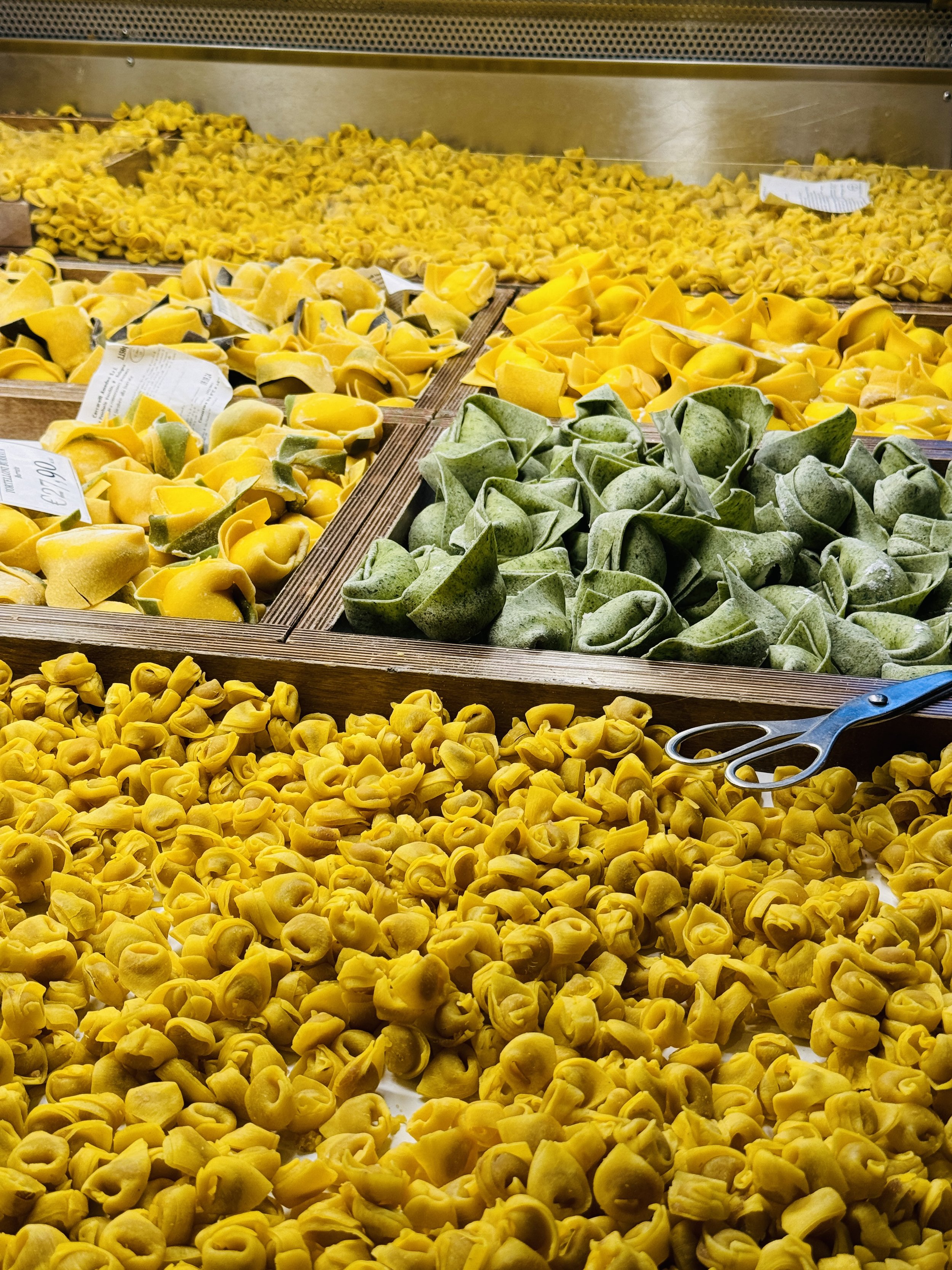 Learning about the many kinds of pasta