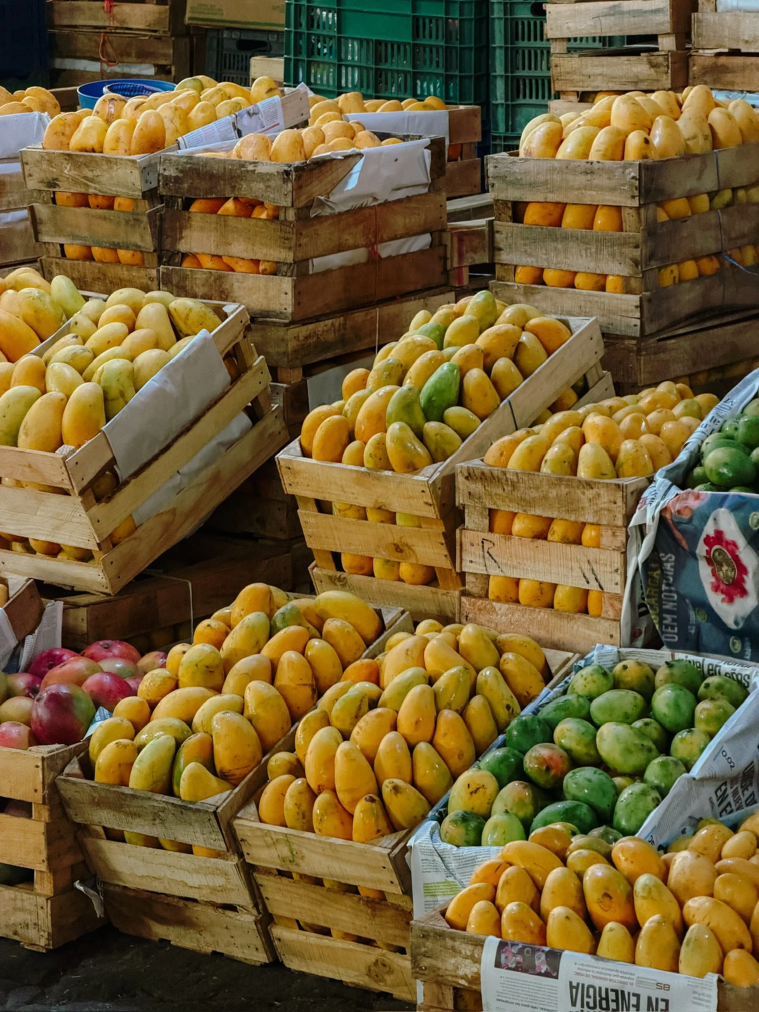 Central de Abastos Mangos SOMH.JPG
