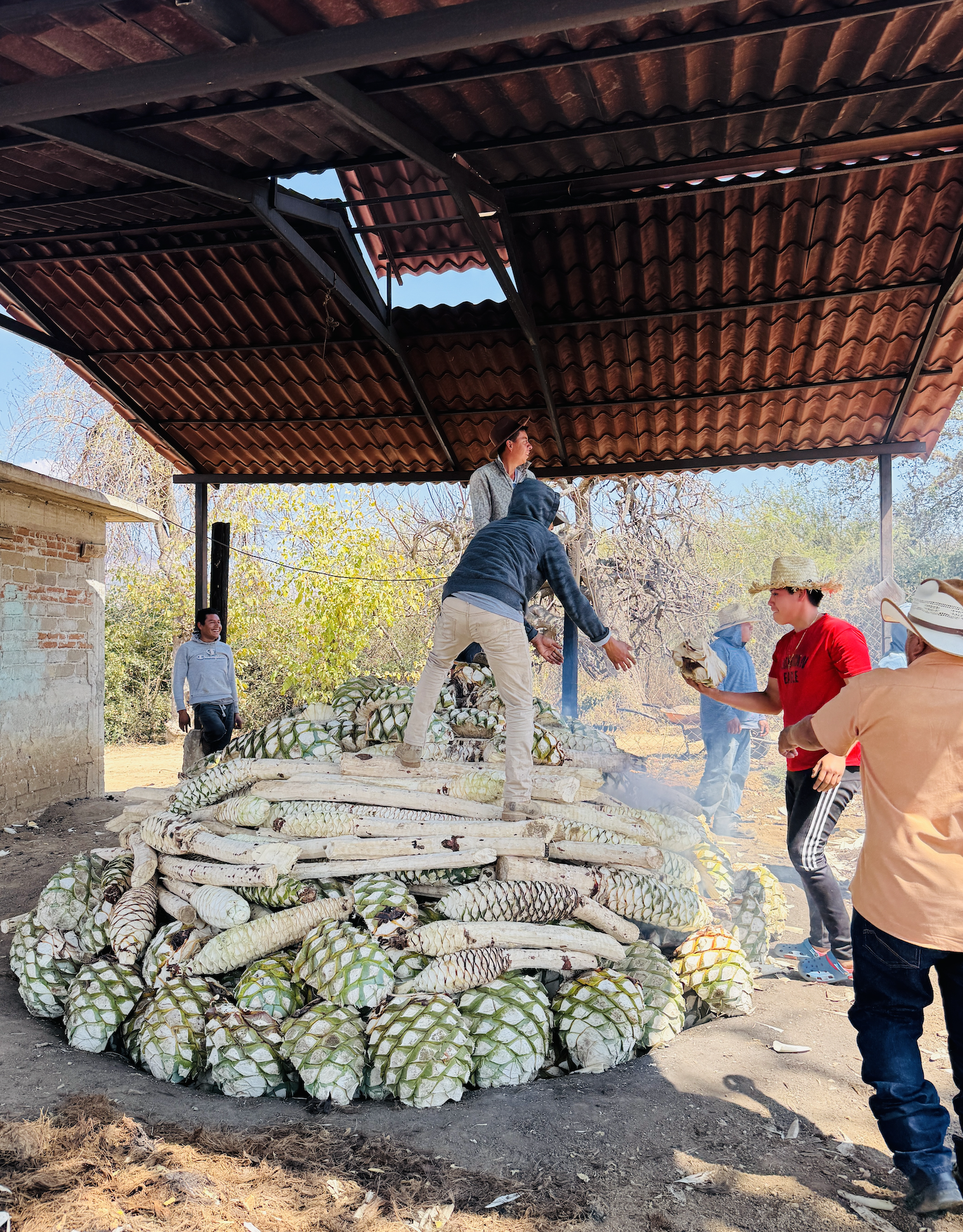 Mezcal tasting in Santa Catarina Minas