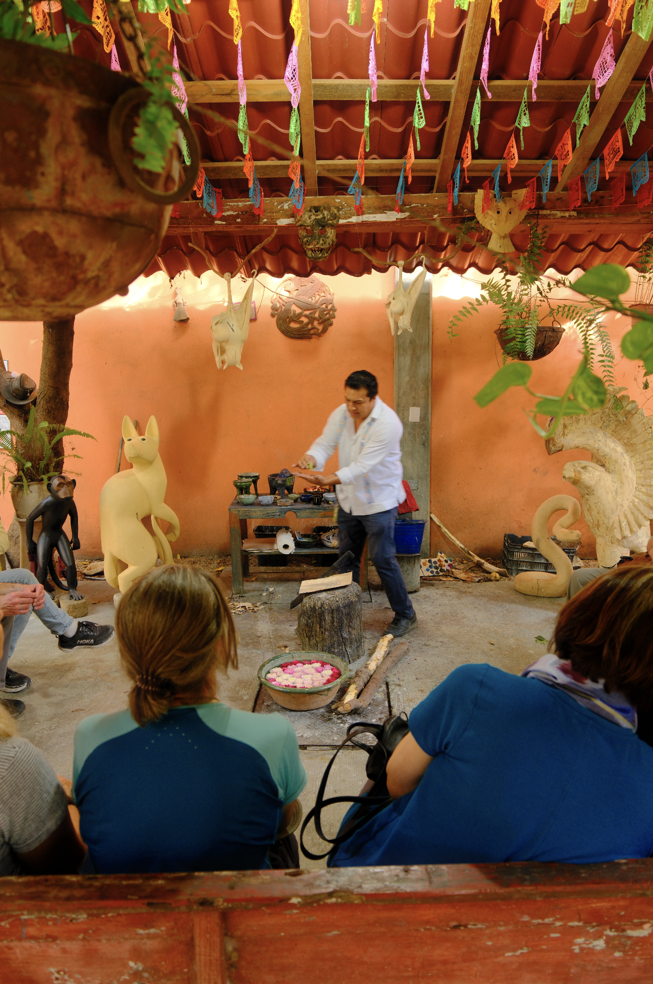 SOMH-Oaxaca-Alebrije-Demo.png