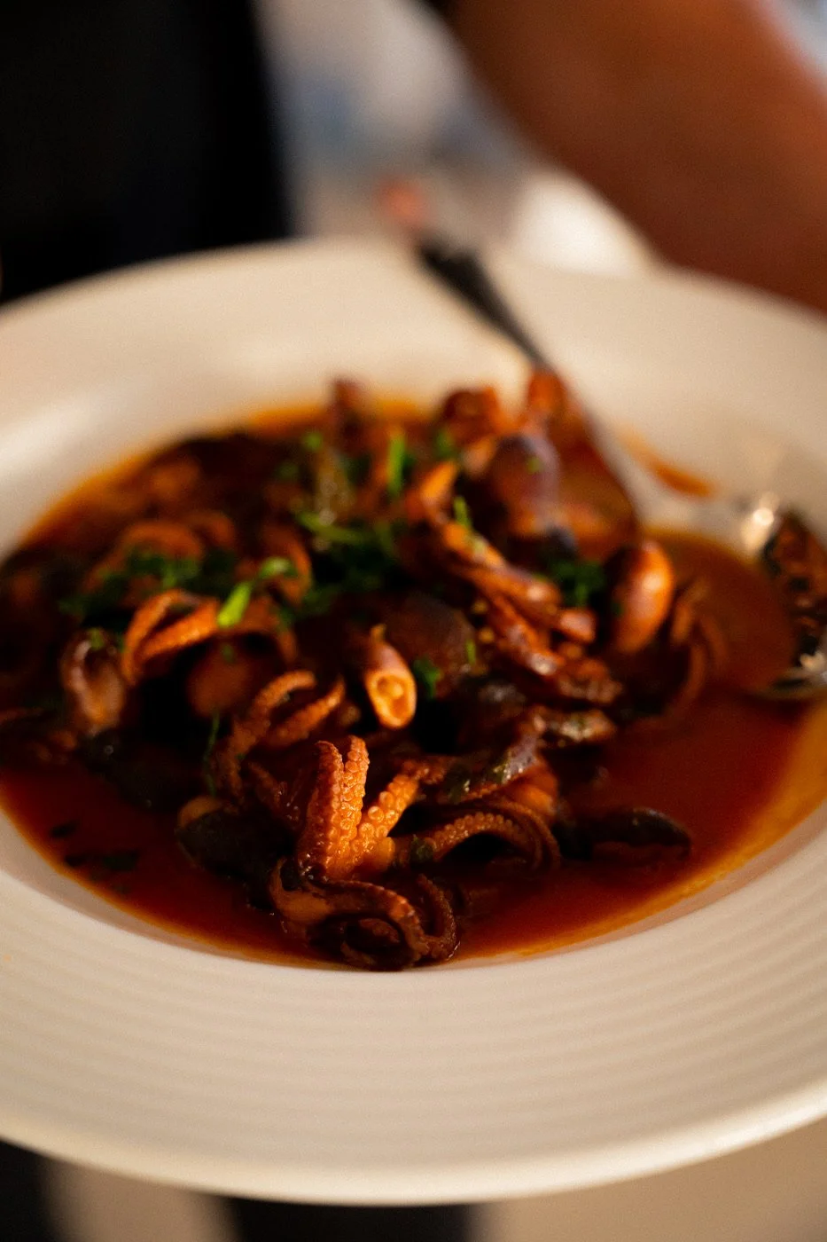 Baby octopus in ragú
