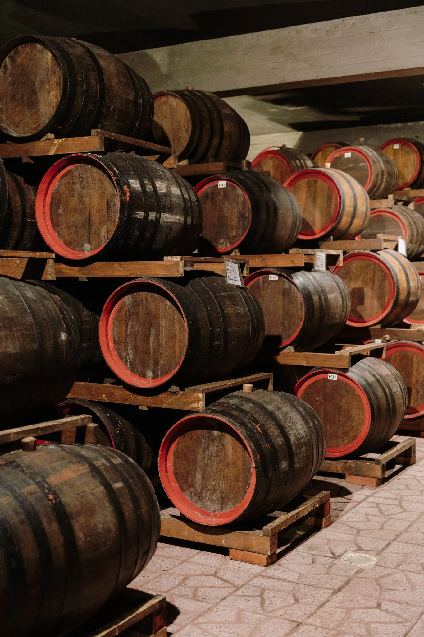 Wine tasting in Marsala