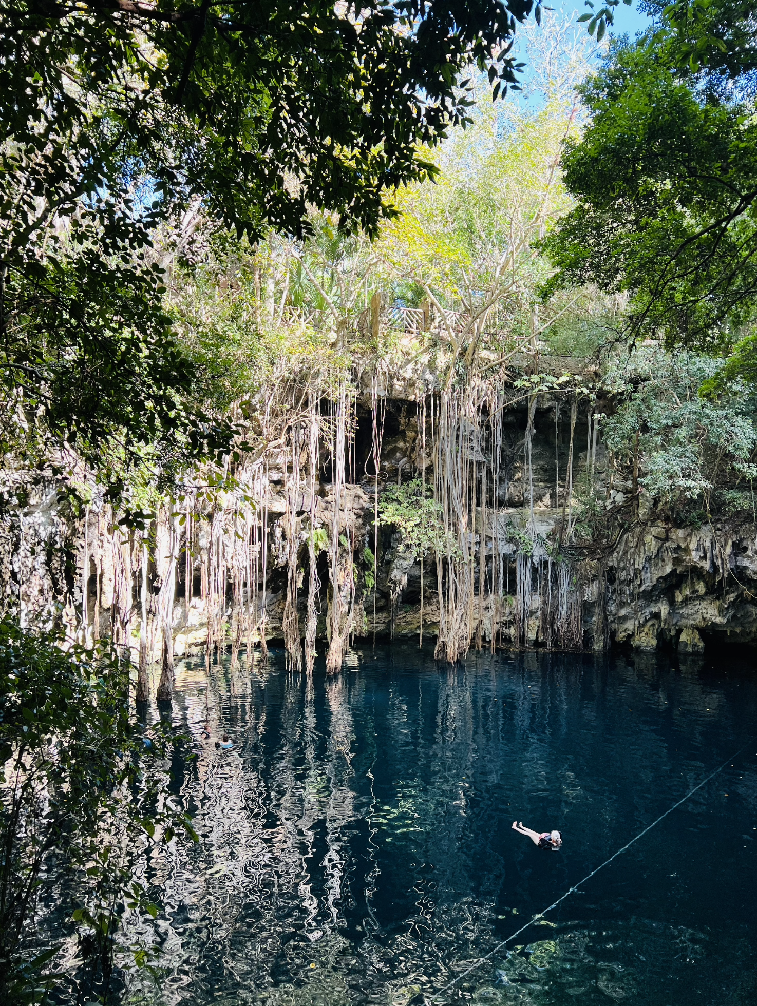 Swimming in a cenote