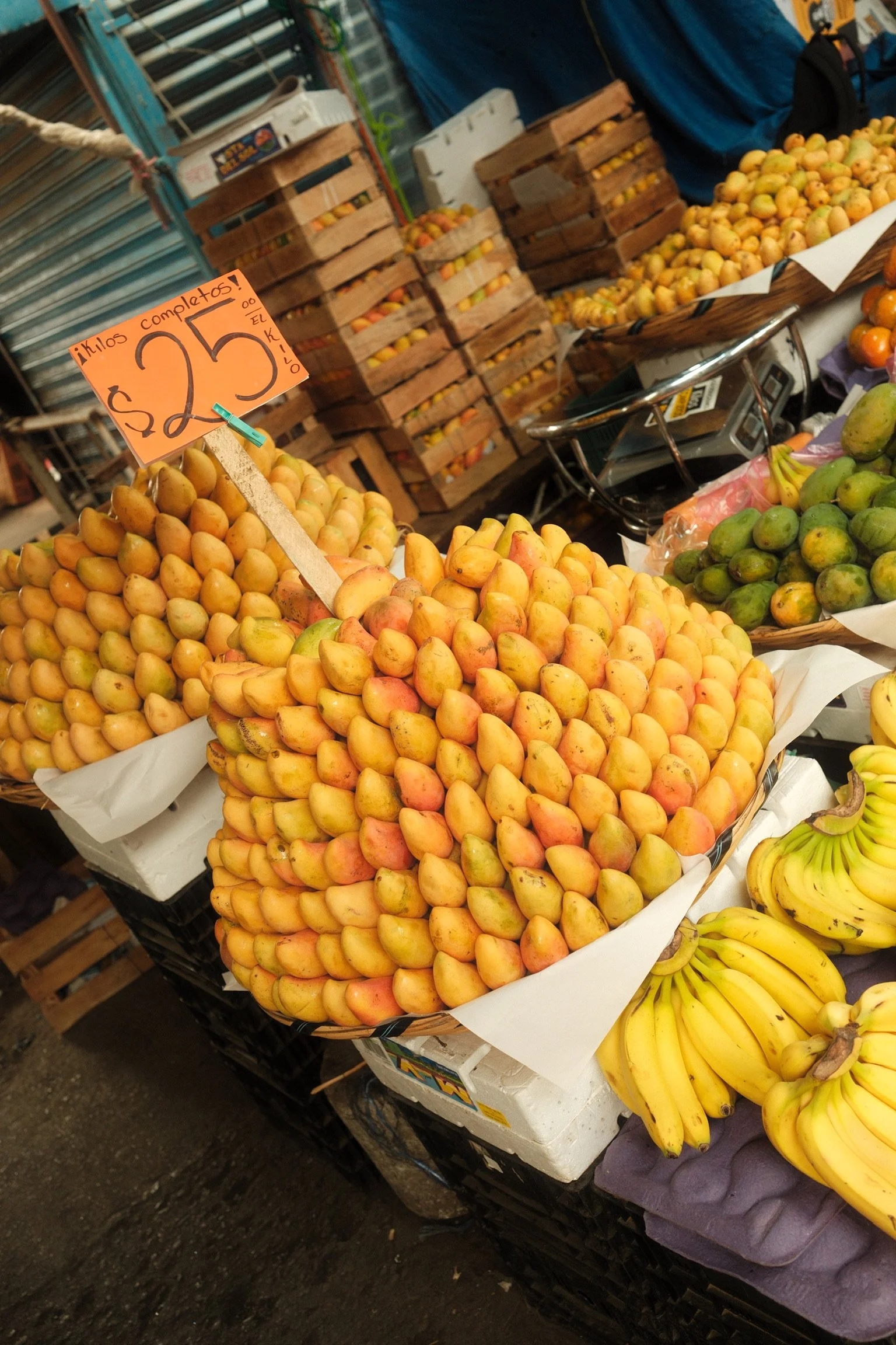 SOMH-Market-Tour-Central-Abastos-Mango.JPG