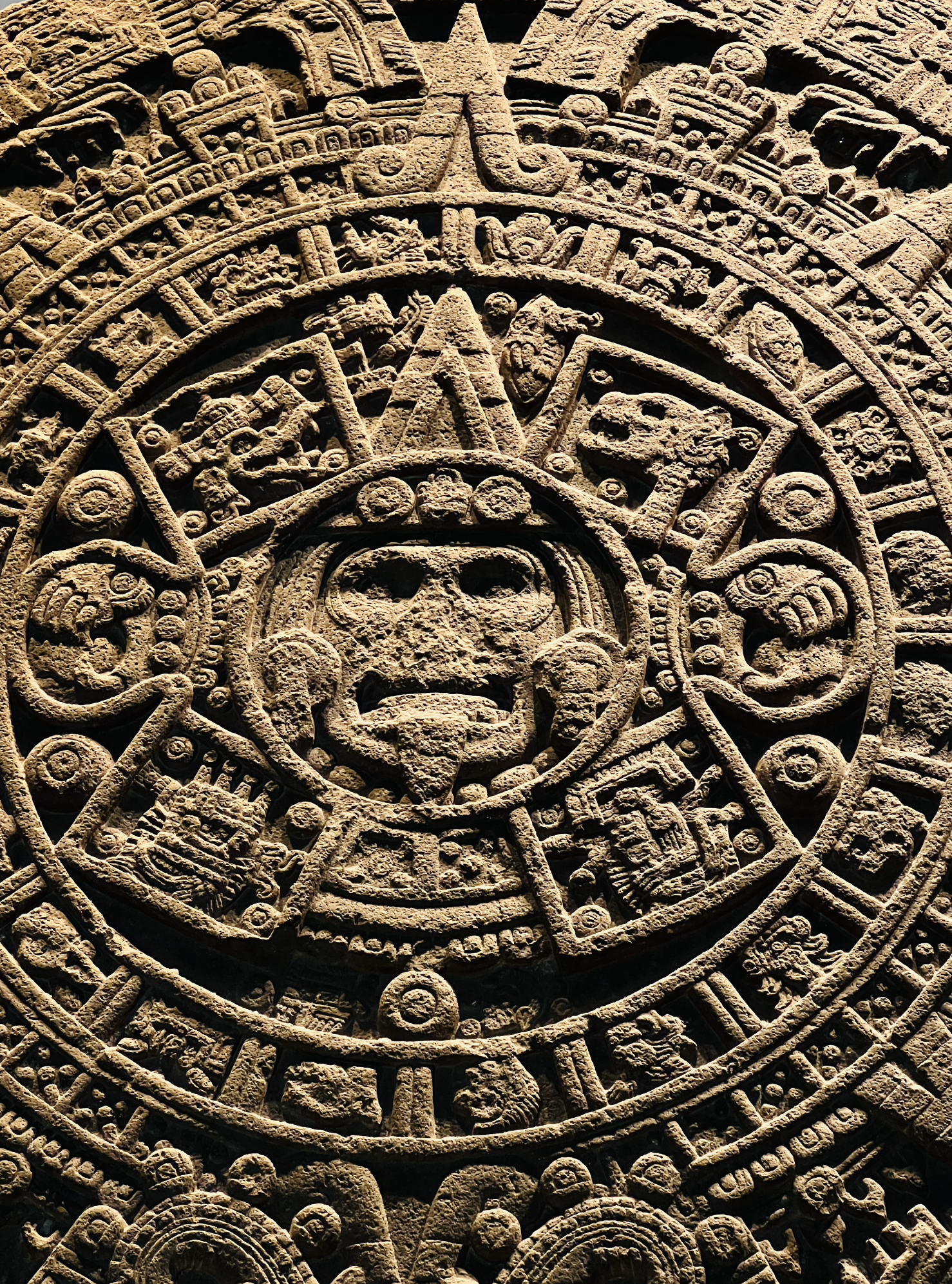 Guided tour of the Anthropology Museum