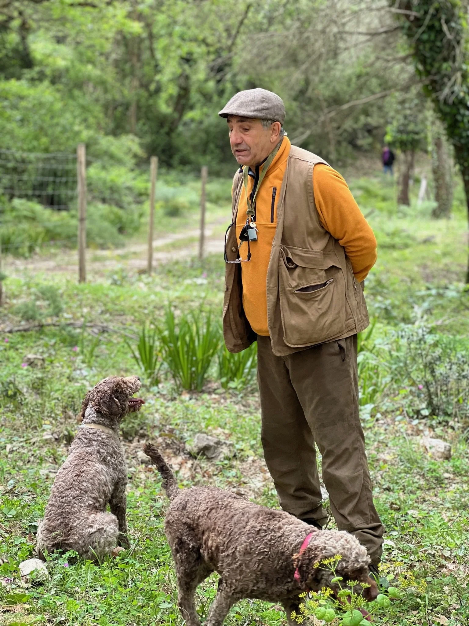 Go truffle hunting in Sambuca