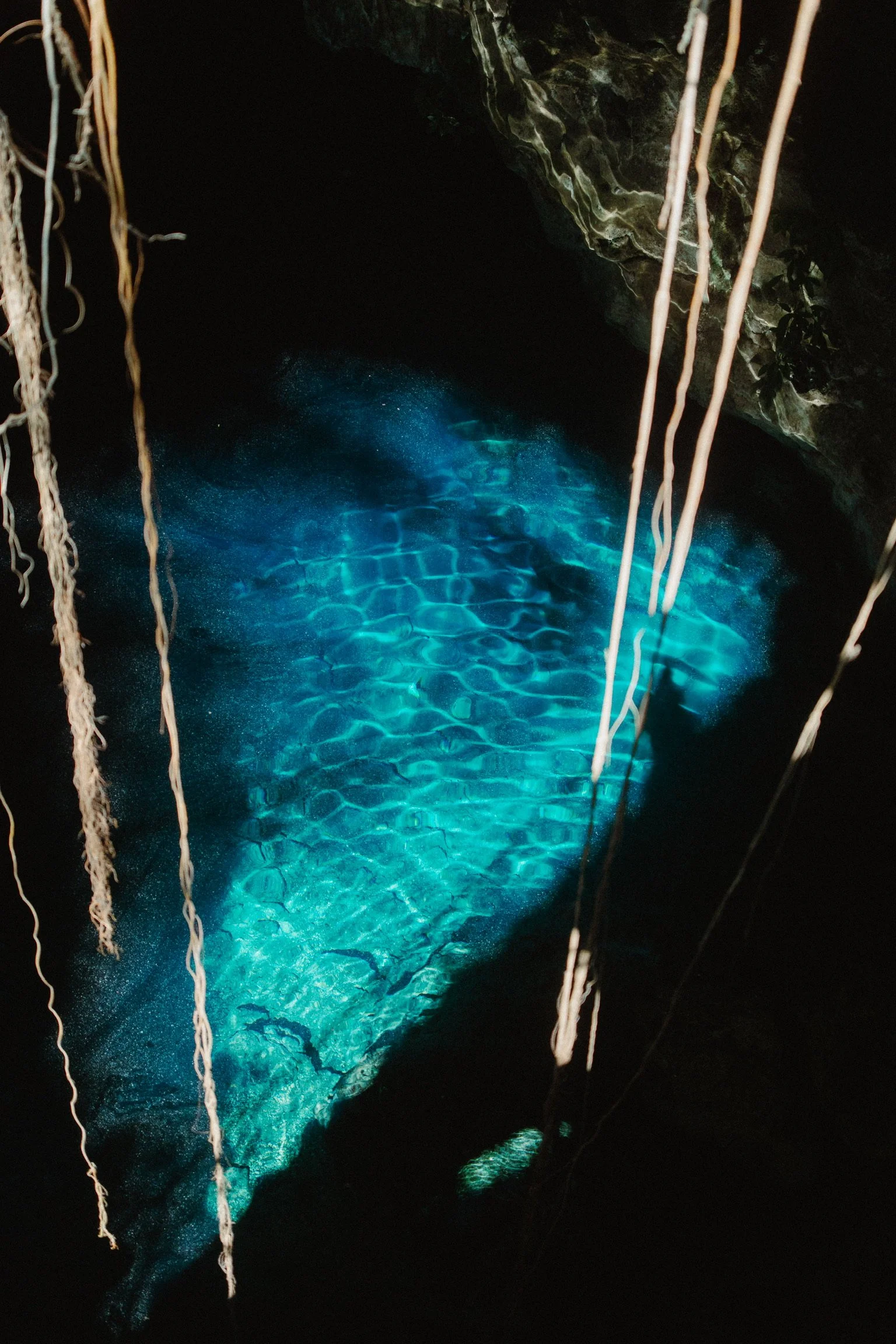 Swimming in sacred cenotes