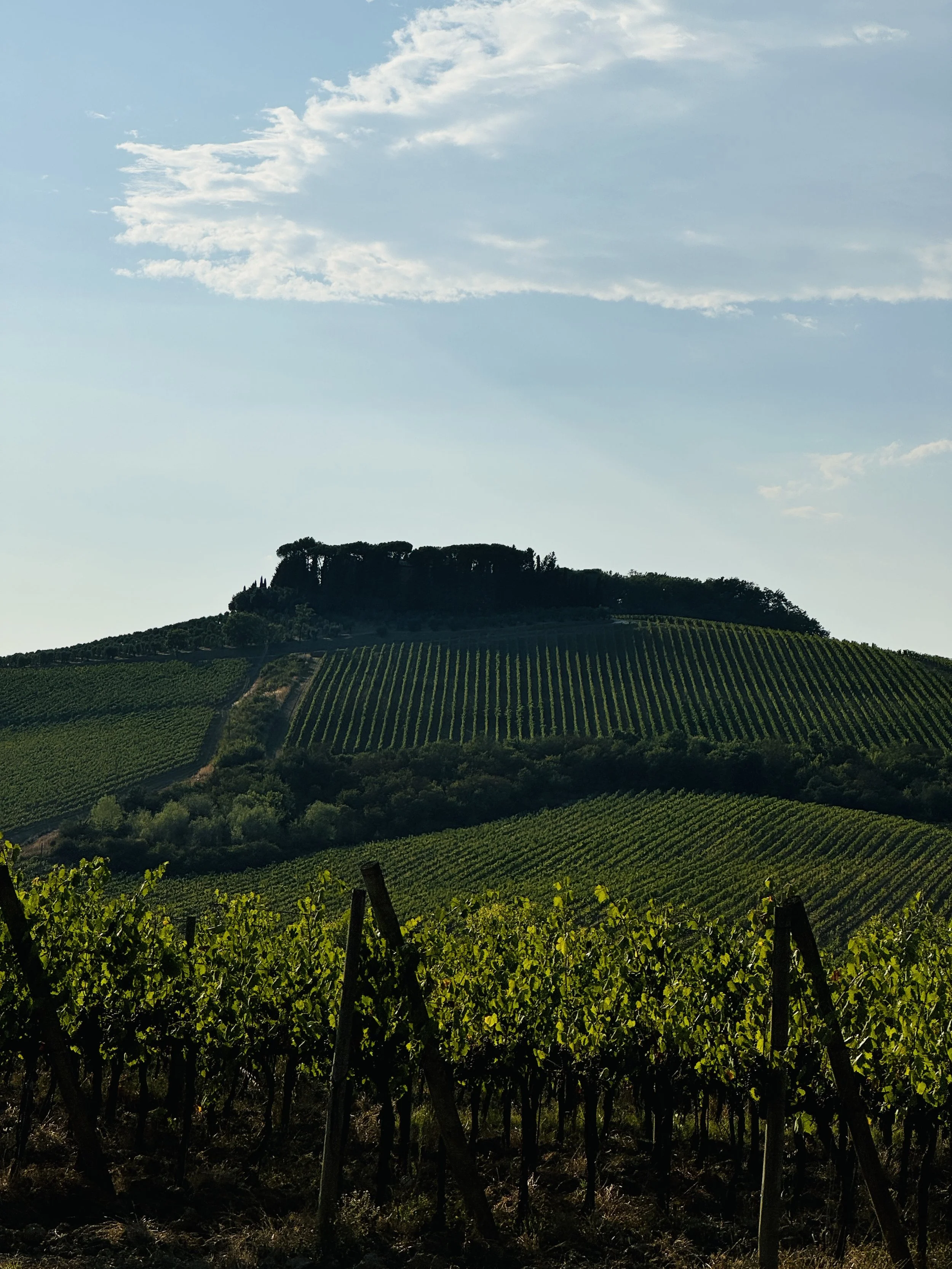 A day in the Tuscan countryside