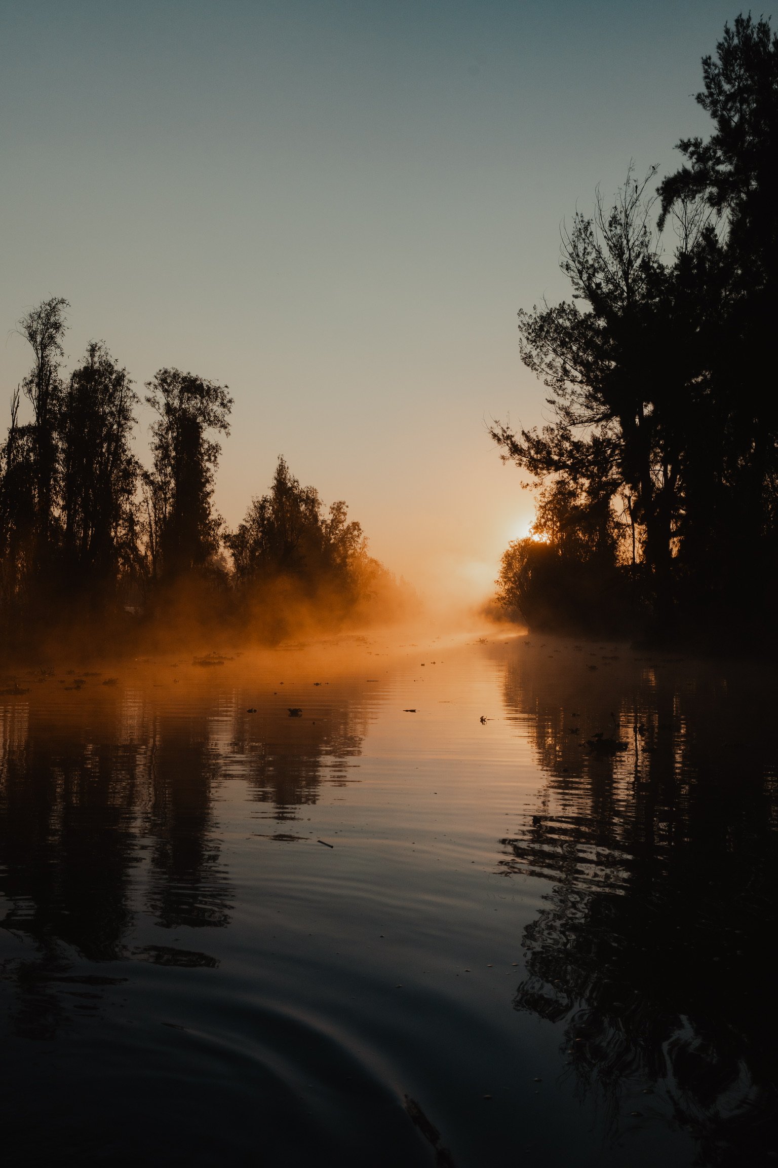 Sunrise in the chinampas of Xochimilco