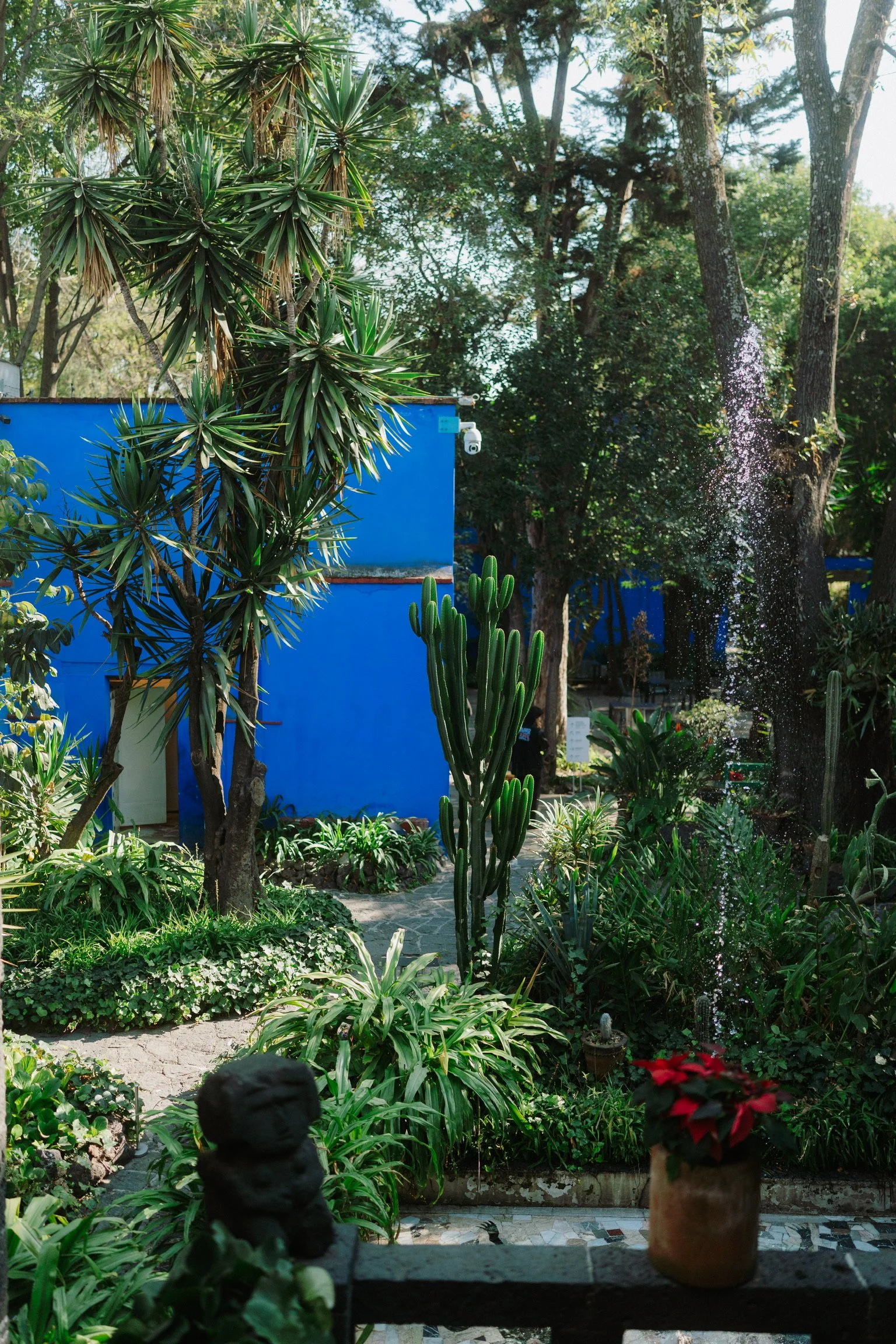 Frida Kahlo's Casa Azul