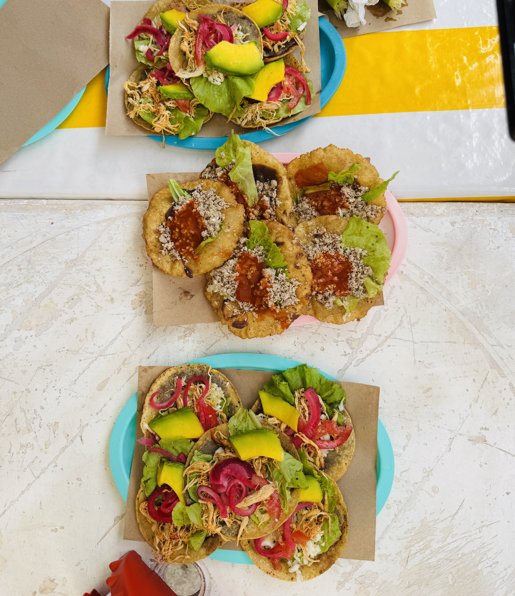 Trying salbutes