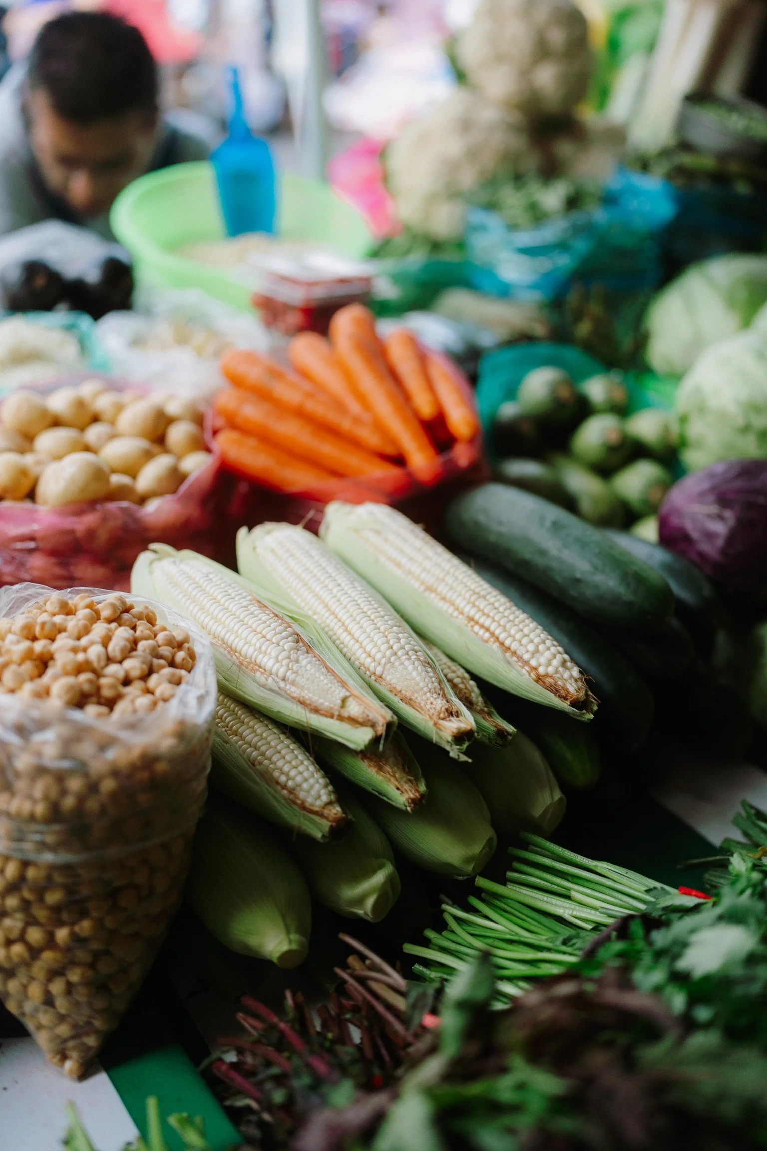 Stroll through the market of Xochimilco
