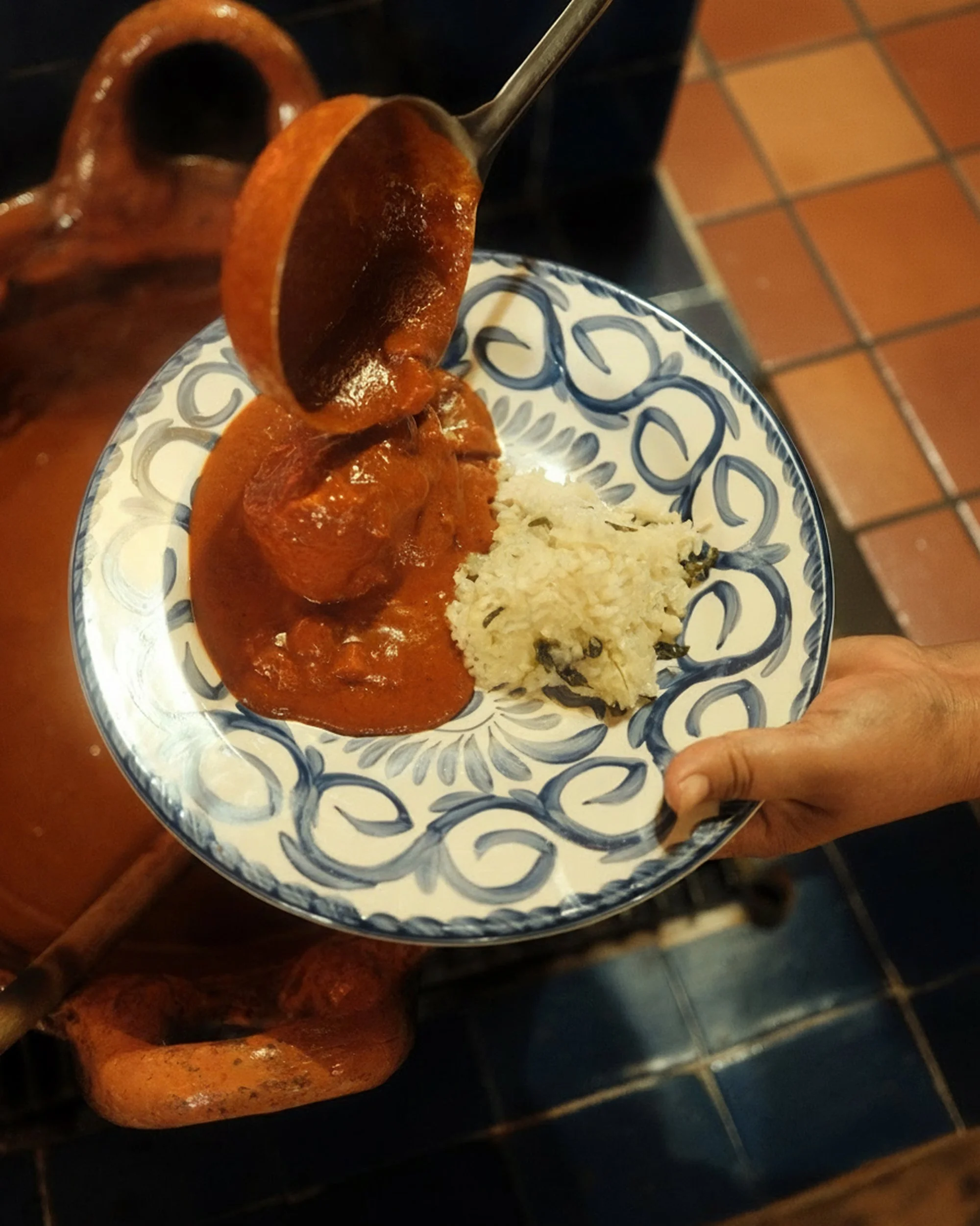 Cooking-Mole y Arroz.jpg
