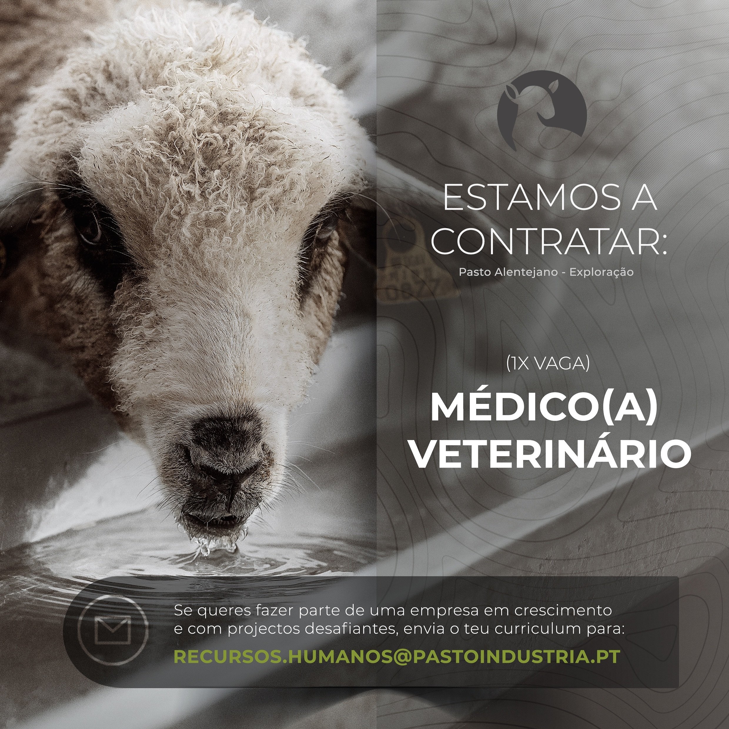 ESTAMOS A CONTRATAR:

&bull; M&eacute;dico(a) Veterin&aacute;rio &bull;

Se queres fazer parte de uma empresa em crescimento e com projetos desafiantes, envia o teu curr&iacute;culo para: ⁠
📩 recursos.humanos@pastoindustria.pt e junta-te &aacute; no