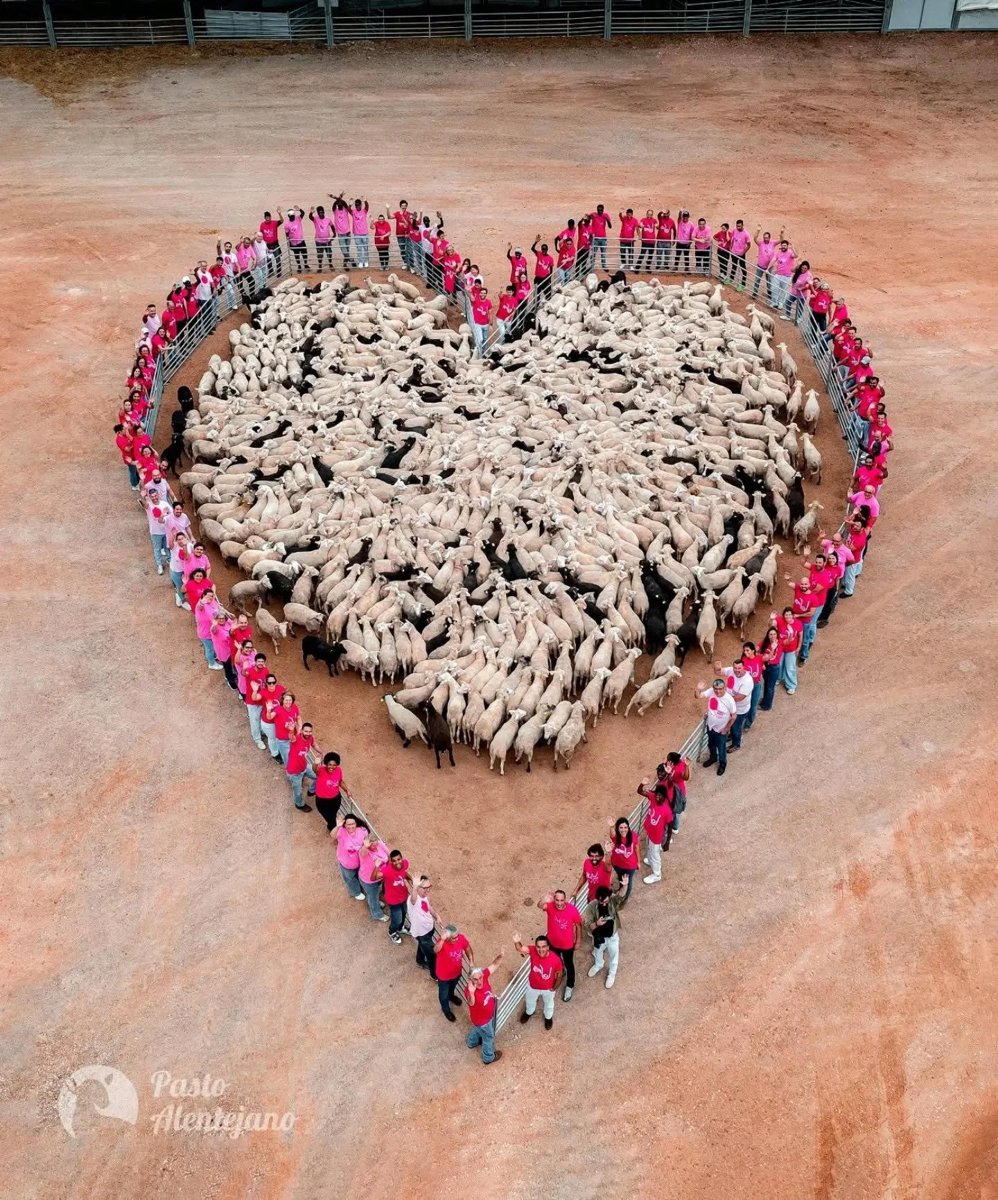 Neste Outubro Rosa, unimo-nos &agrave; Liga Portuguesa Contra o Cancro para lembrar que a preven&ccedil;&atilde;o&nbsp;salva&nbsp;vidas.
No Pasto Alentejano, associamo-nos a esta causa, refor&ccedil;ando o nosso compromisso com a sa&uacute;de, a resp