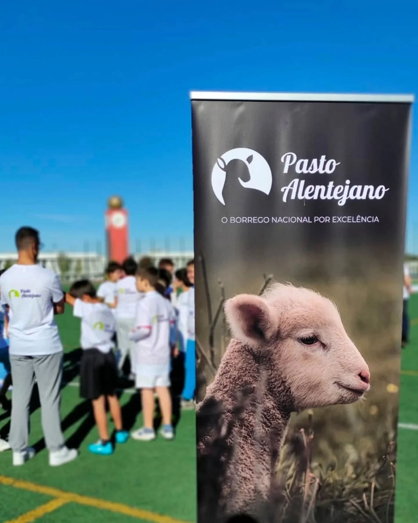 Decorreram esta semana dois eventos desportivos junto da comunidade escolar de Sousel, "Atletismo Divertido, mini atletas em a&ccedil;&atilde;o" e o "Corta Mato Escolar".
O Pasto Alentejano associou-se ao Agrupamento de Escolas de