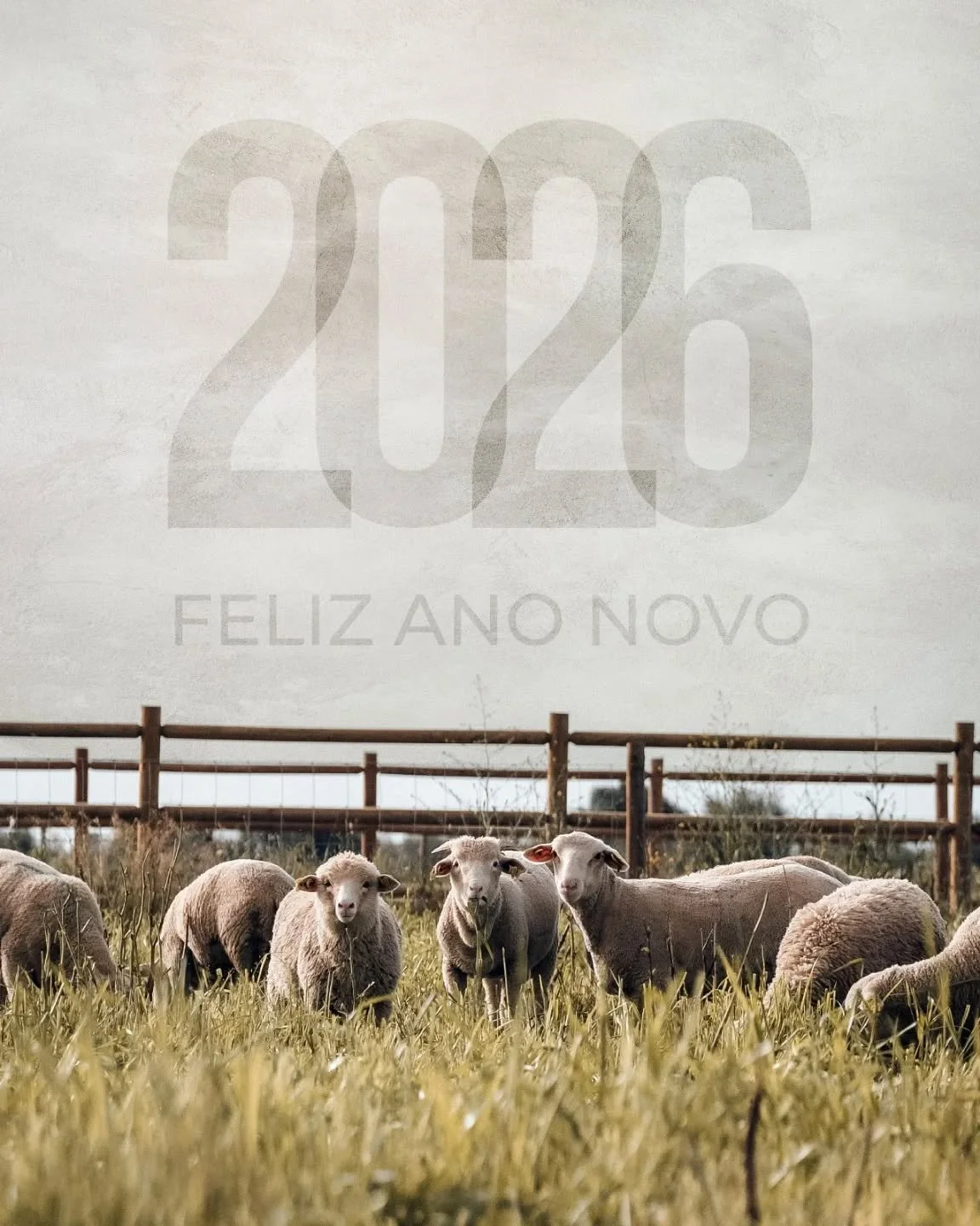 Um novo ano come&ccedil;a, trazendo novas oportunidades e desafios.
Obrigado a todos os que fizeram parte da nossa jornada.
Que 2026 seja um ano de crescimento, inova&ccedil;&atilde;o e novas conquistas.
✨ Feliz Ano Novo! ✨