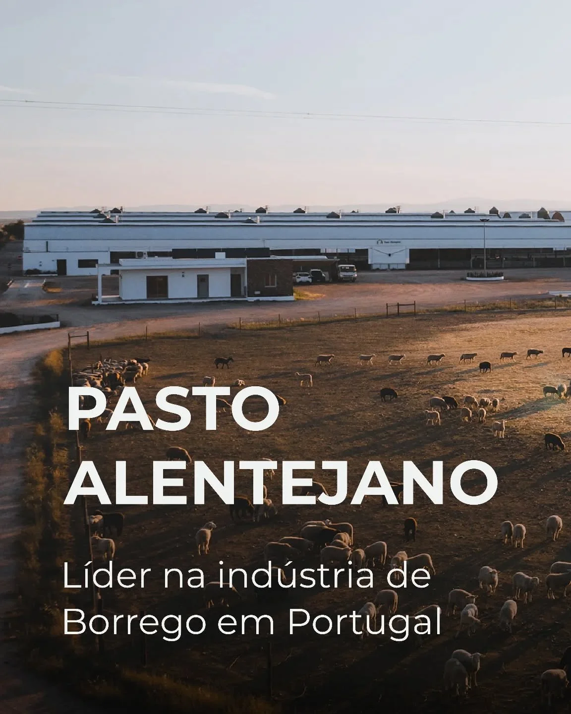Uma hist&oacute;ria de 100 anos.