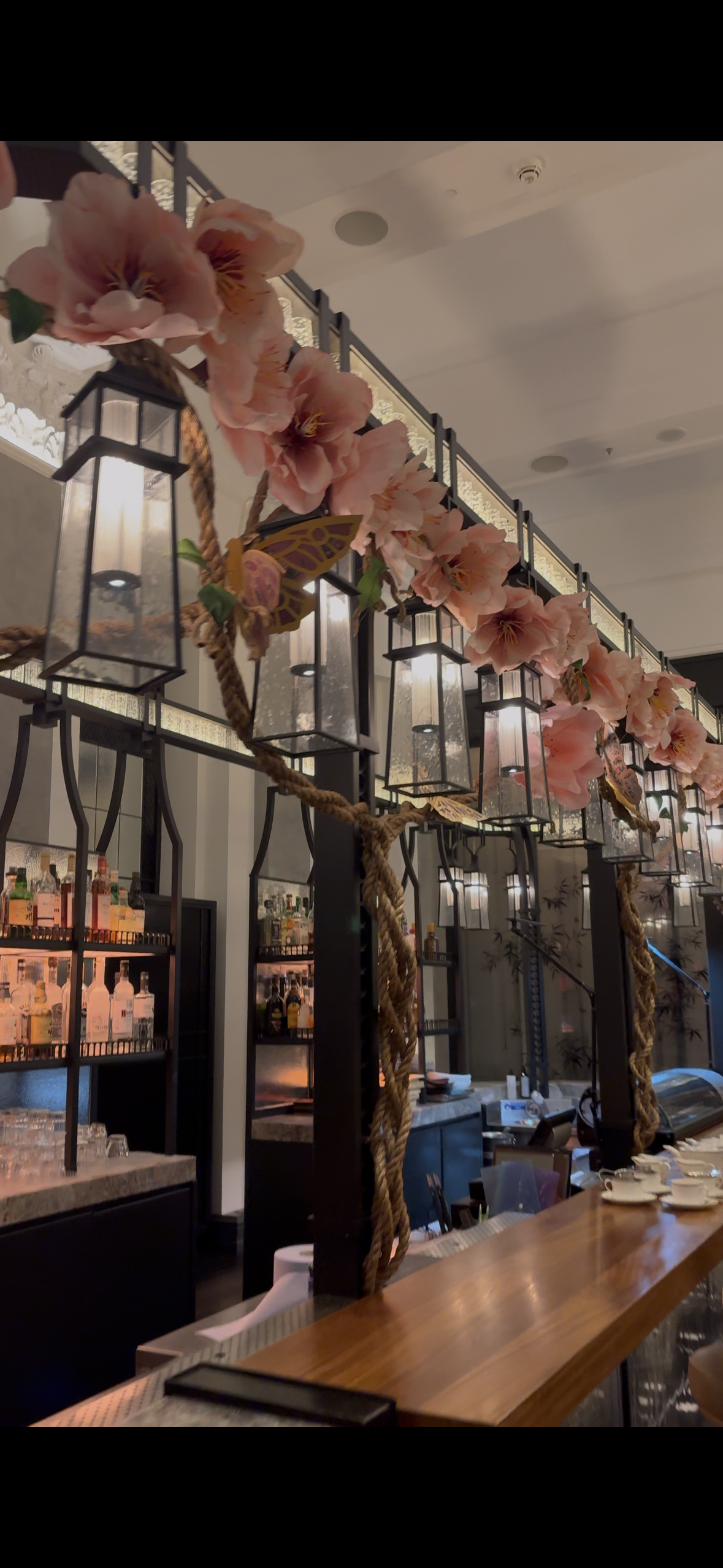 Spring Blossom Launch - Mei Ume - Four Seasons 