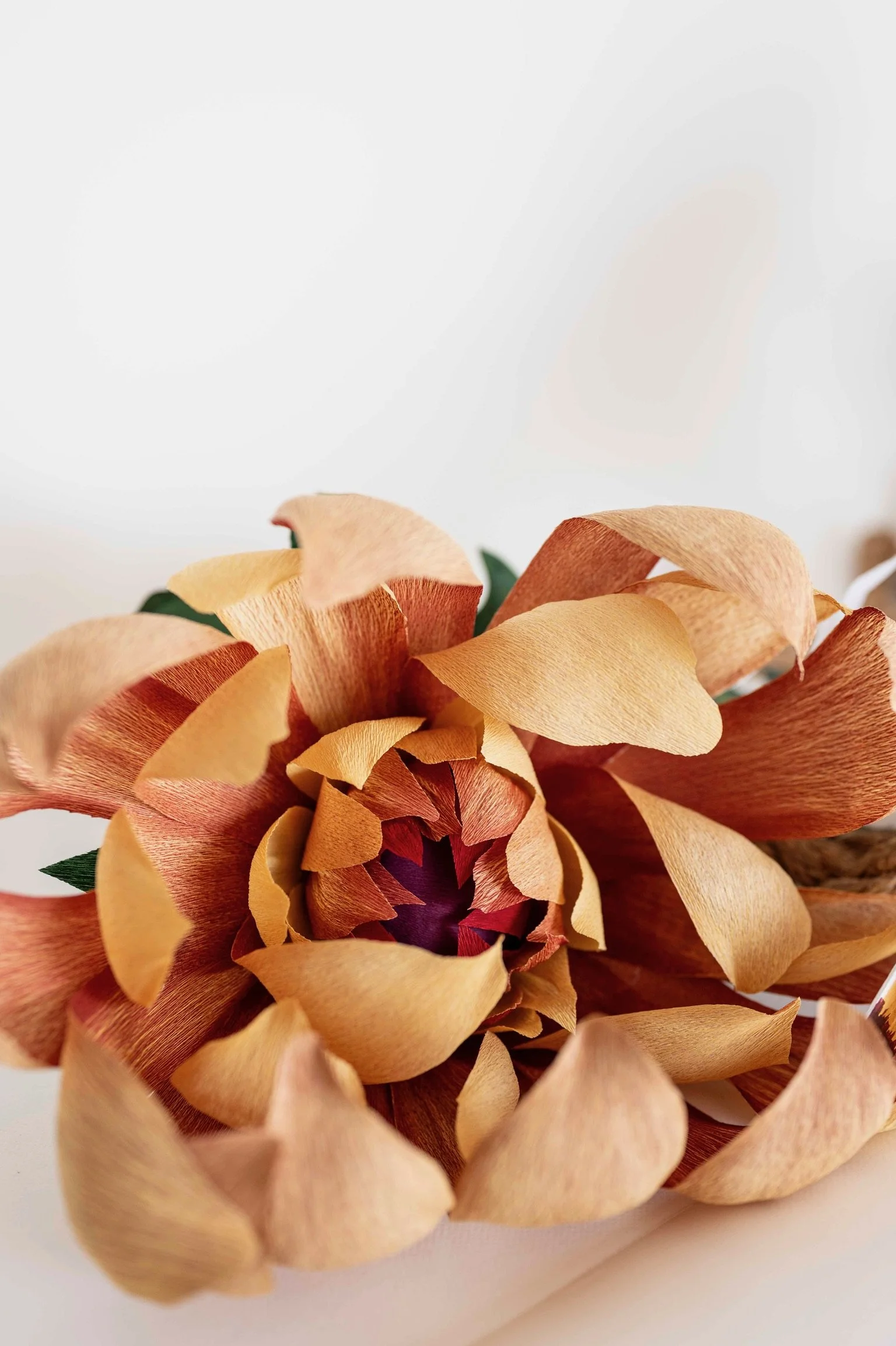 Details of art installation for Saicho Sparkling Tea Company