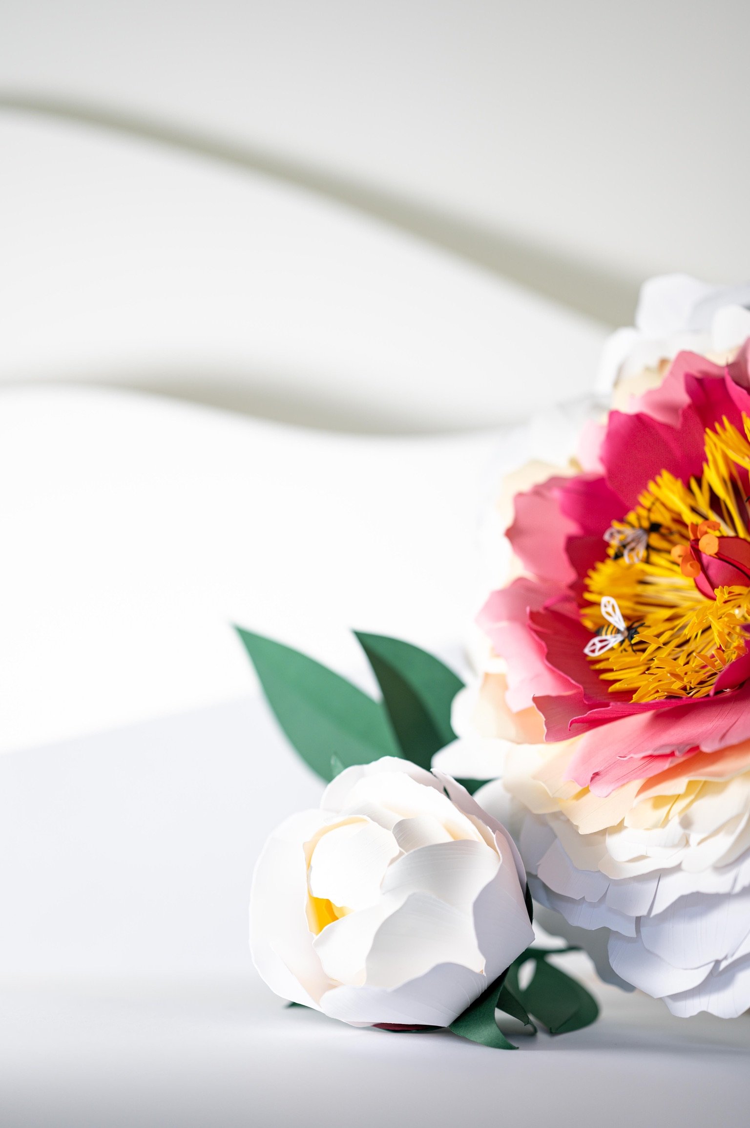 001_LR Mondi The Peonie © Laura Hinski Photography_220615.jpeg