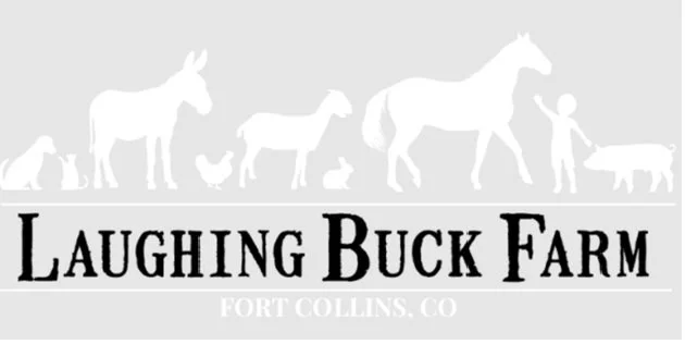 Laughing Buck Farm - Fall Farm Festival