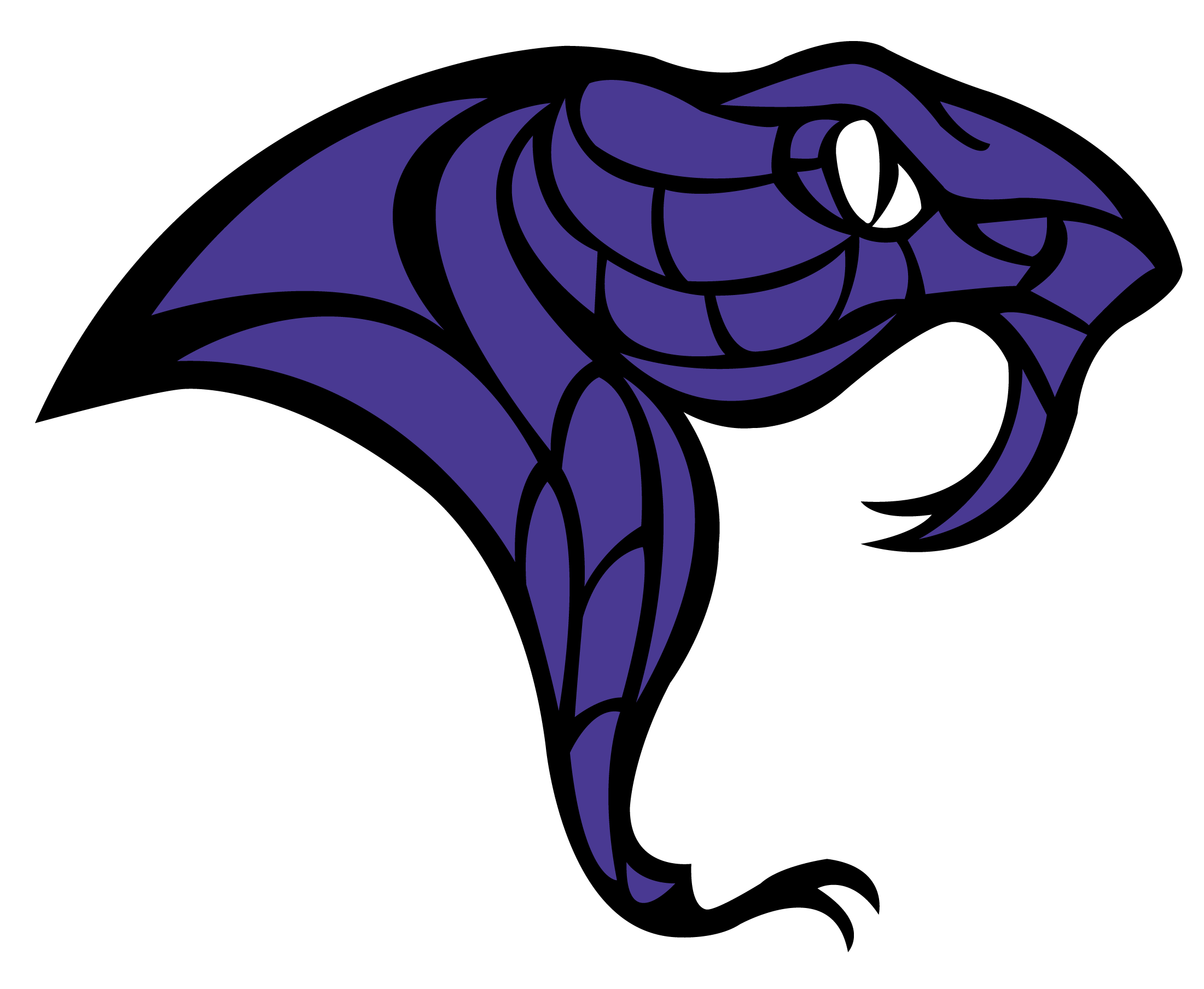 North Canyon High School