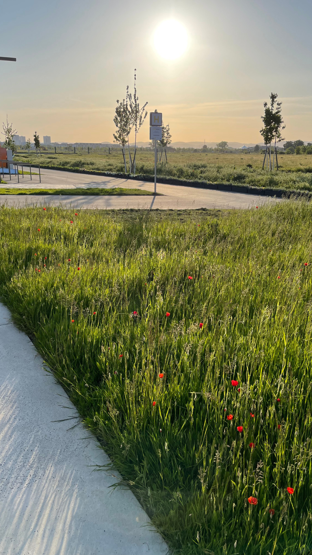 CONCRETE. GREEN. FRESH. — Dipol