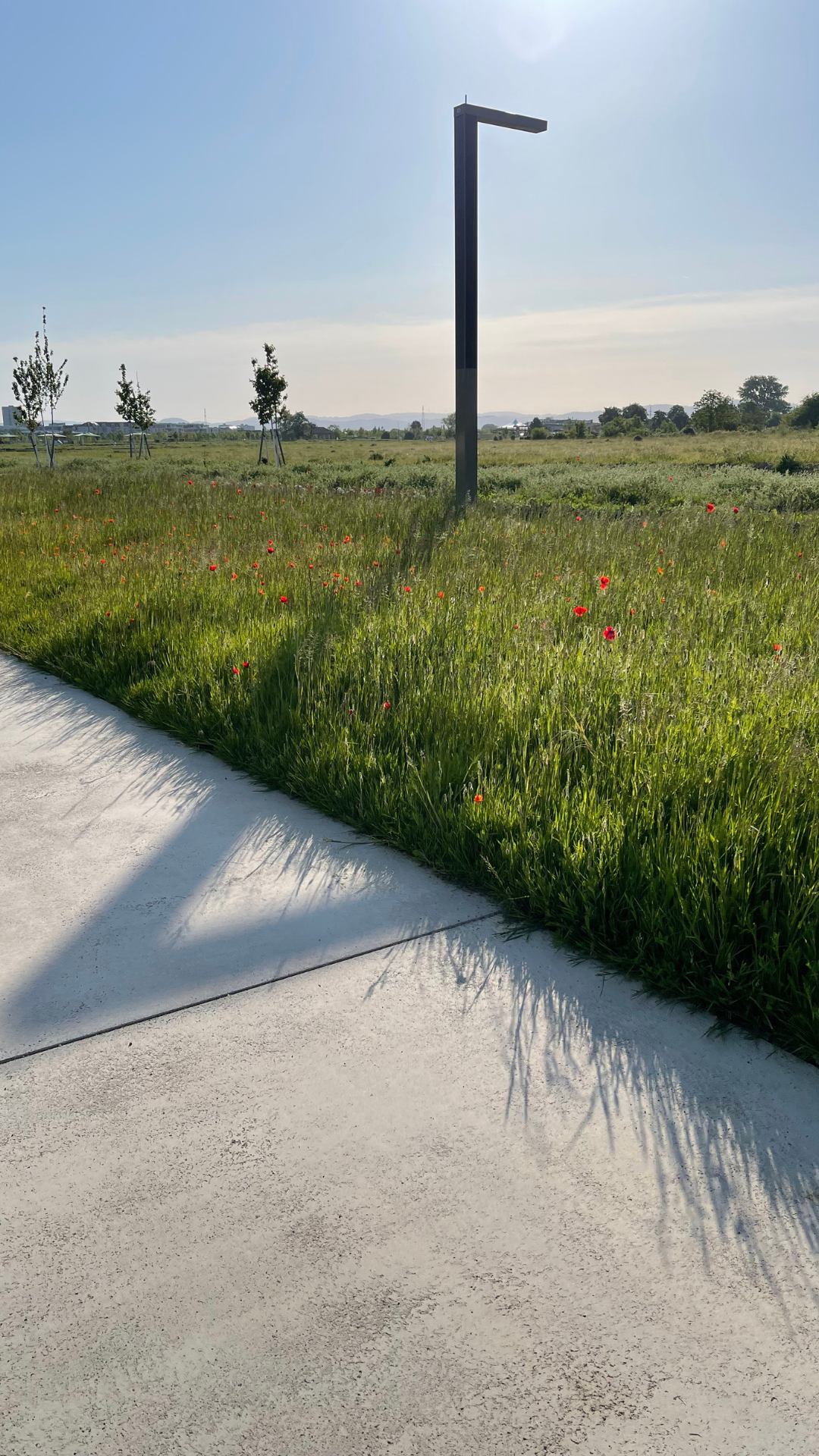 CONCRETE. GREEN. FRESH. — Dipol