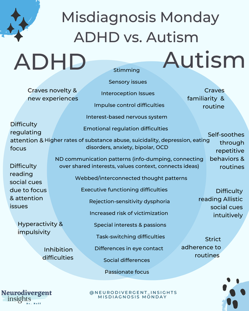 BPD vs Autism
