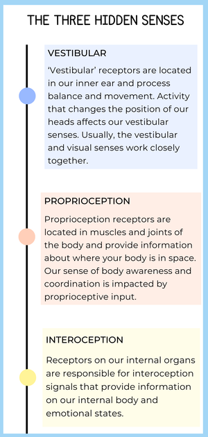 8 Senses of the Body | Exploring the Hidden Sensory Systems