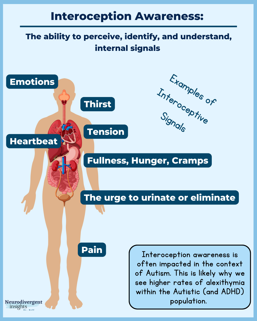 Poor Interoception in Neurodivergent People | What Helps