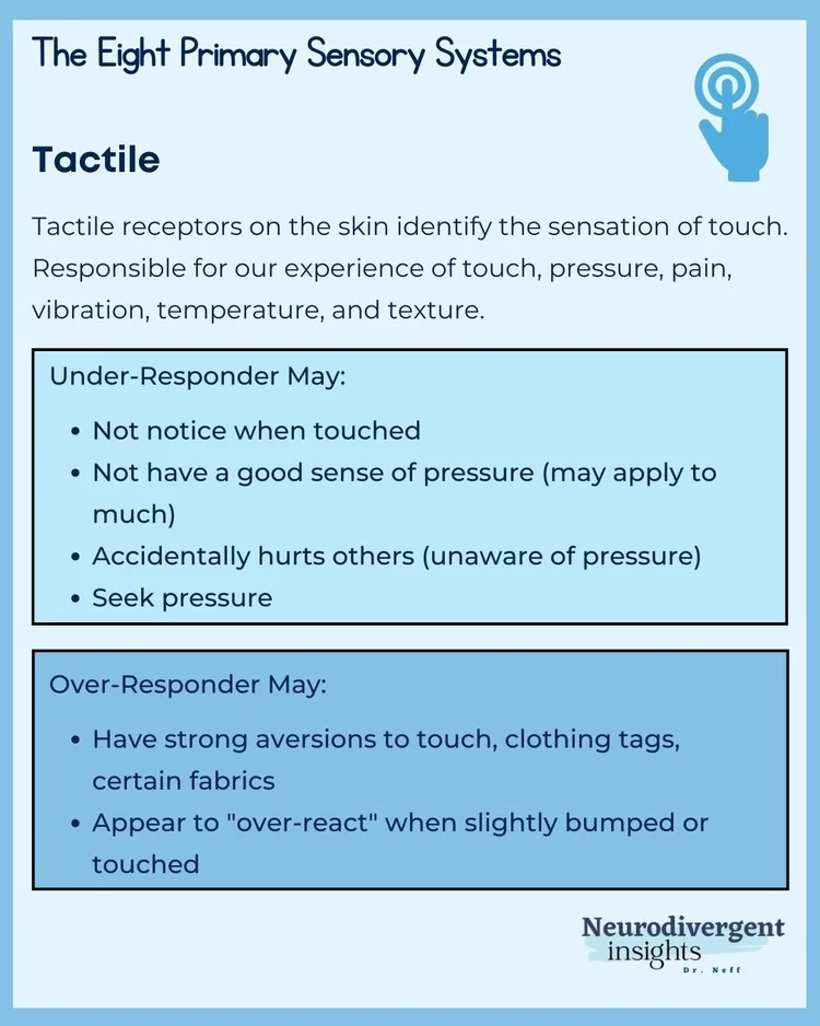 8 Senses of the Body: the Hidden Sensory Systems - Neurodivergent Insights