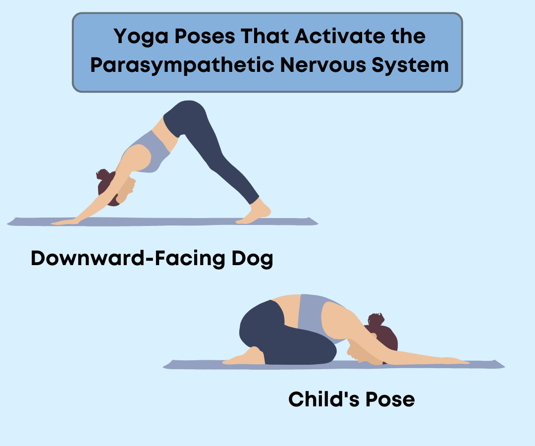 A Natural Protocol for High and Low Cortisol levels — Soulaia