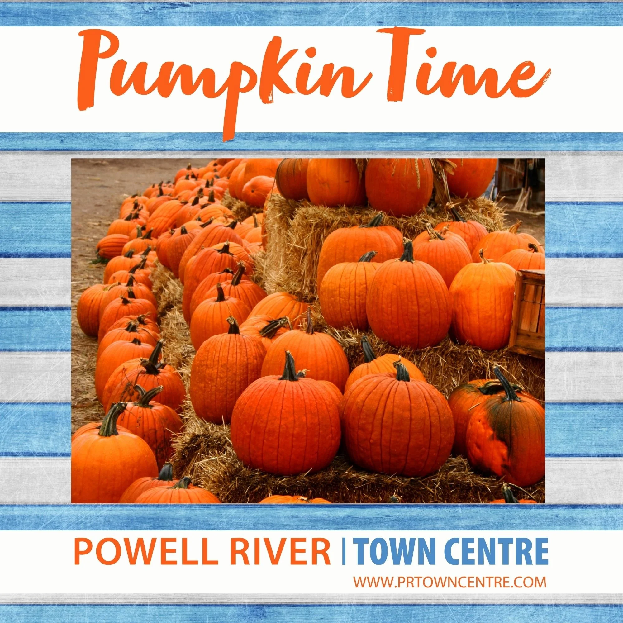 Pumpkin Spiced Lattes to Pumpkin Pies from Thanksgiving to Halloween, the Pumpkin is KING! 

Stop by the shops and services at Town Centre, and grab your freshly grown local pumpkin!